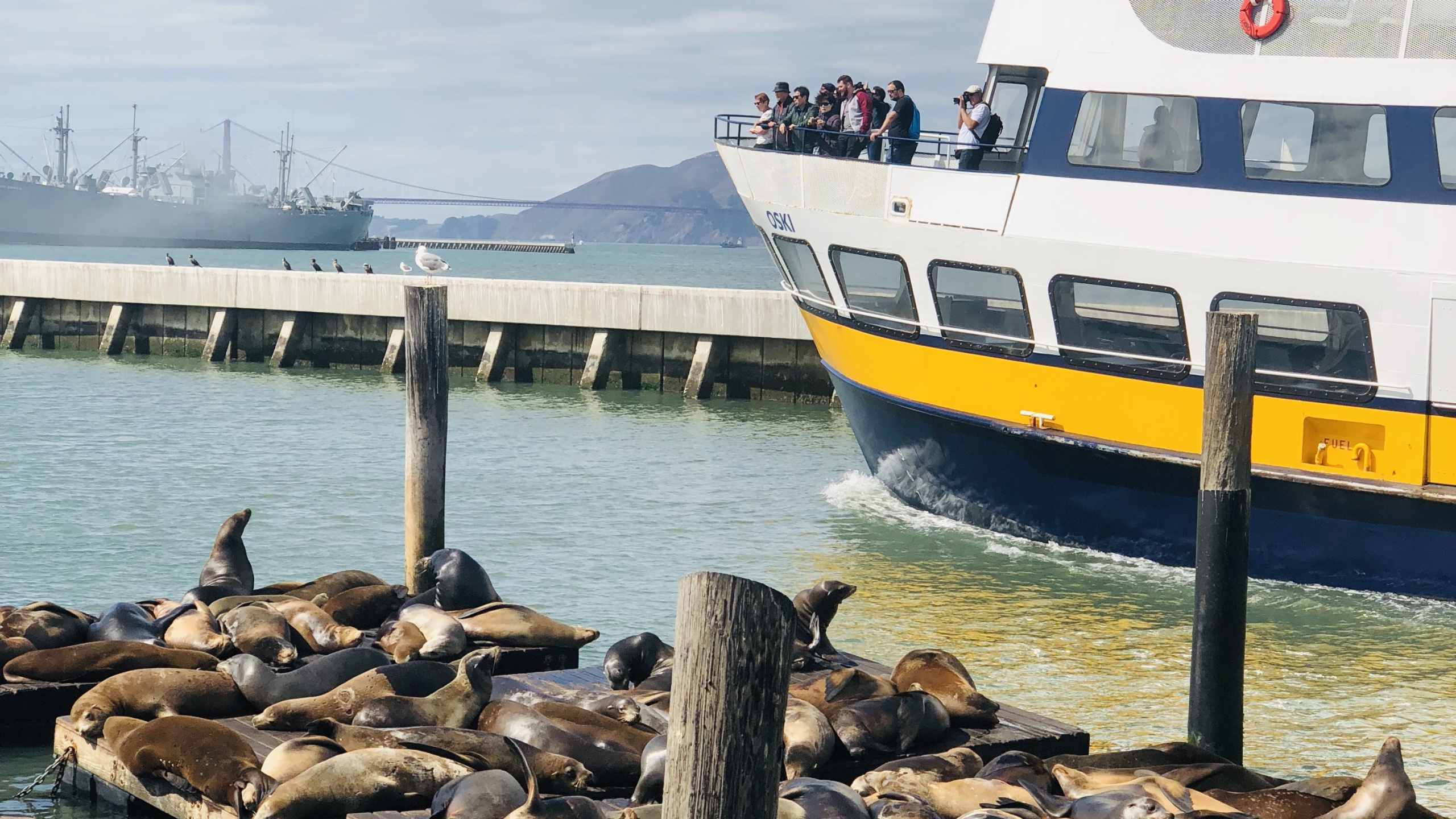Pier, San Francisco, le Transport de L'eau, Bateau, Ferry. Wallpaper in 2560x1440 Resolution