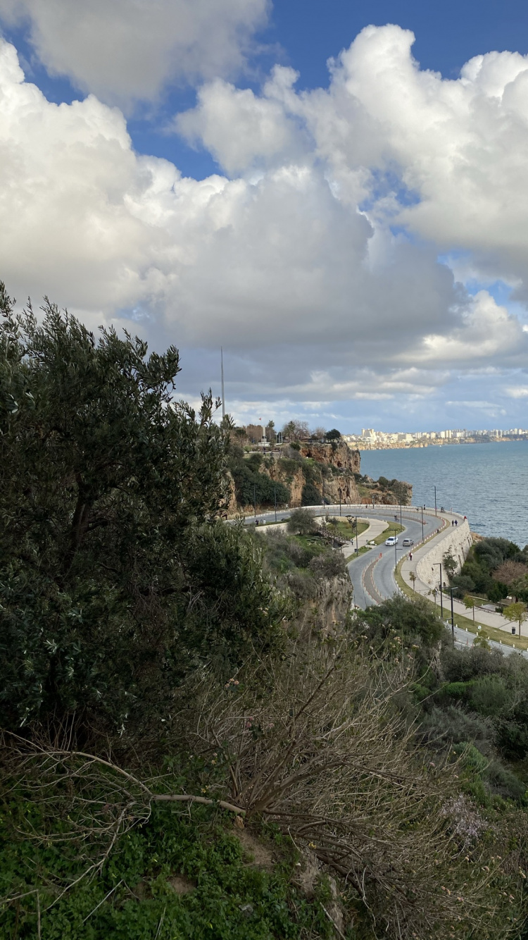 生态区, 高地, 自然景观, 地形 壁纸 750x1334 允许