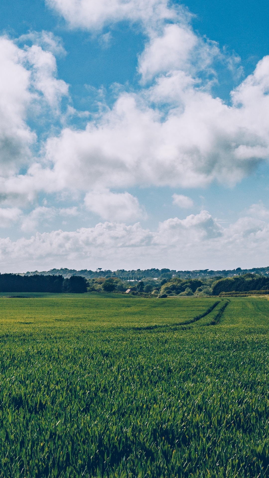 Green Grass Field Under White Clouds During Daytime. Wallpaper in 1080x1920 Resolution