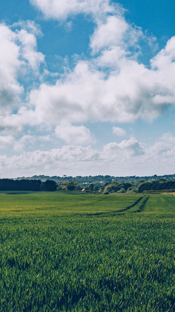 Green Grass Field Under White Clouds During Daytime. Wallpaper in 720x1280 Resolution