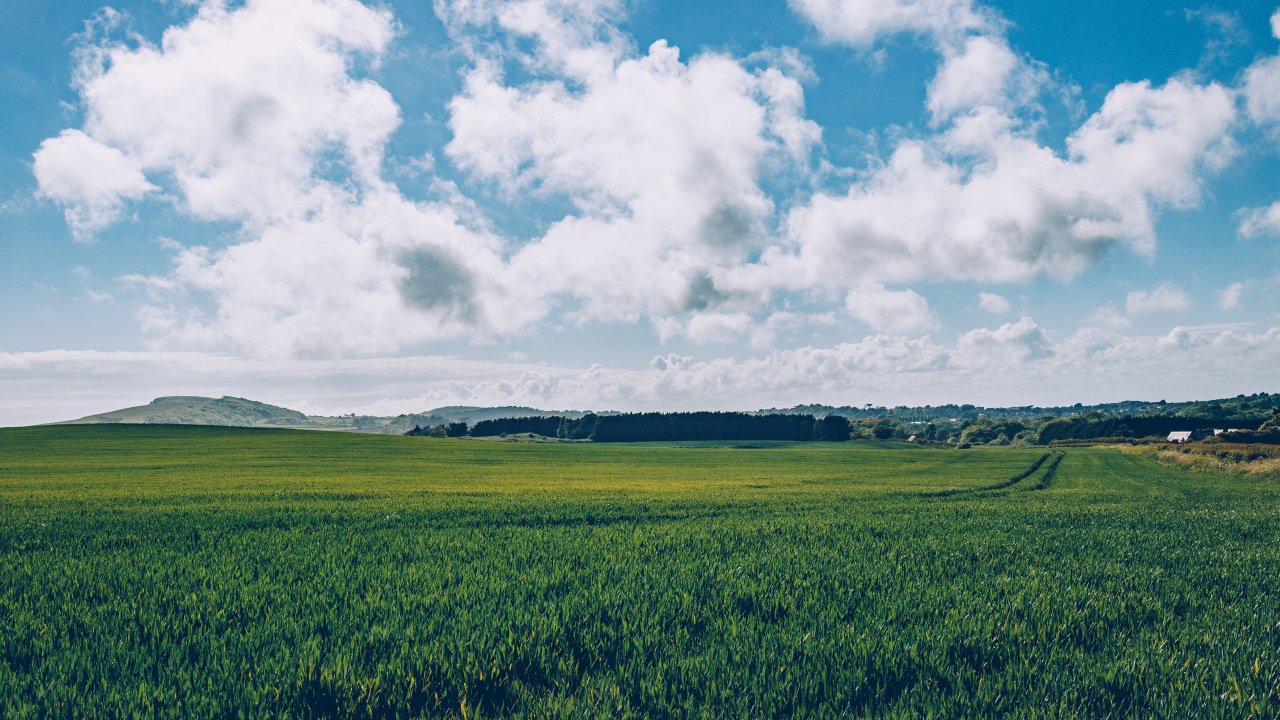 Champ D'herbe Verte Sous Des Nuages Blancs Pendant la Journée. Wallpaper in 1280x720 Resolution