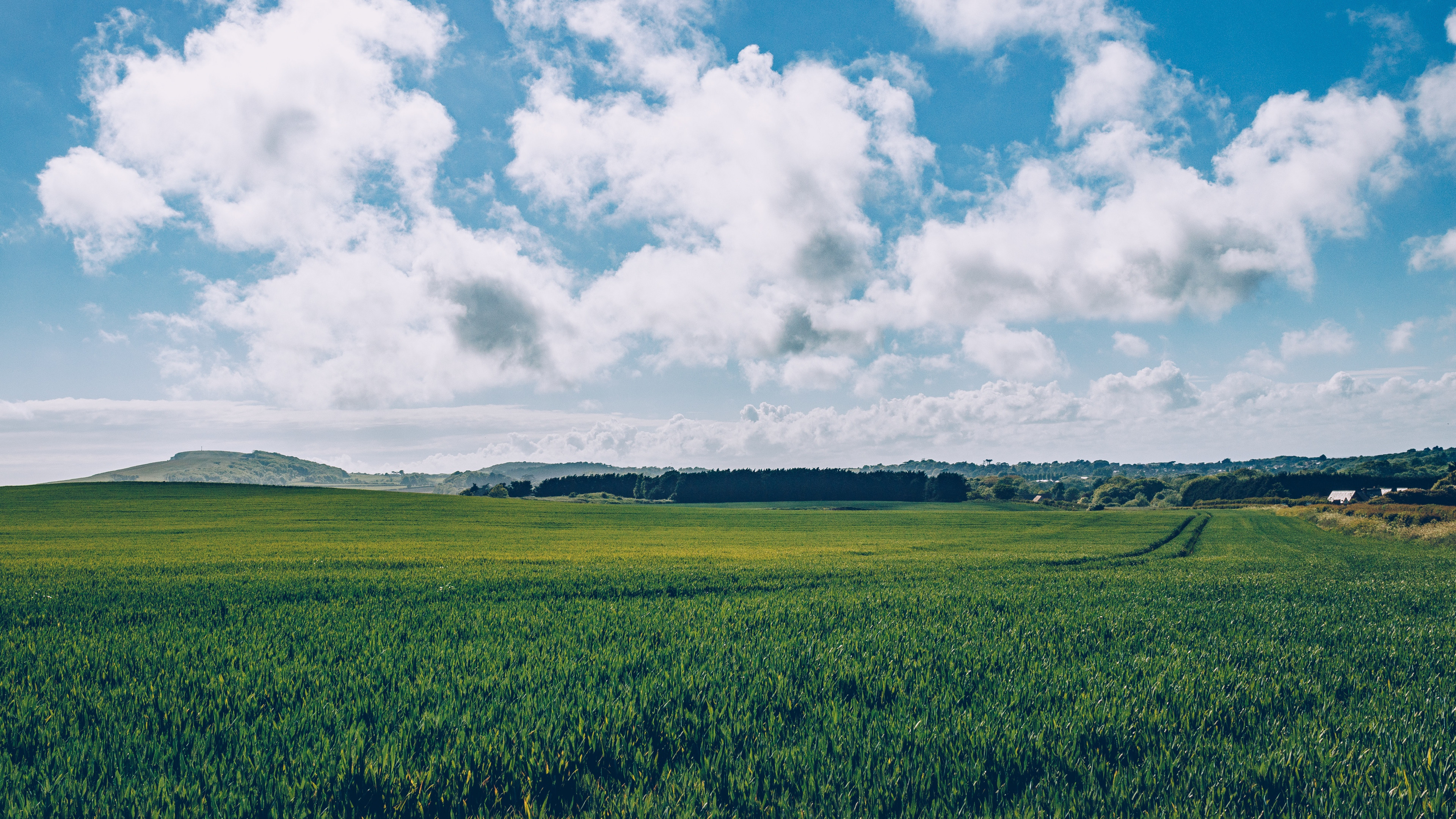 Champ D'herbe Verte Sous Des Nuages Blancs Pendant la Journée. Wallpaper in 3840x2160 Resolution