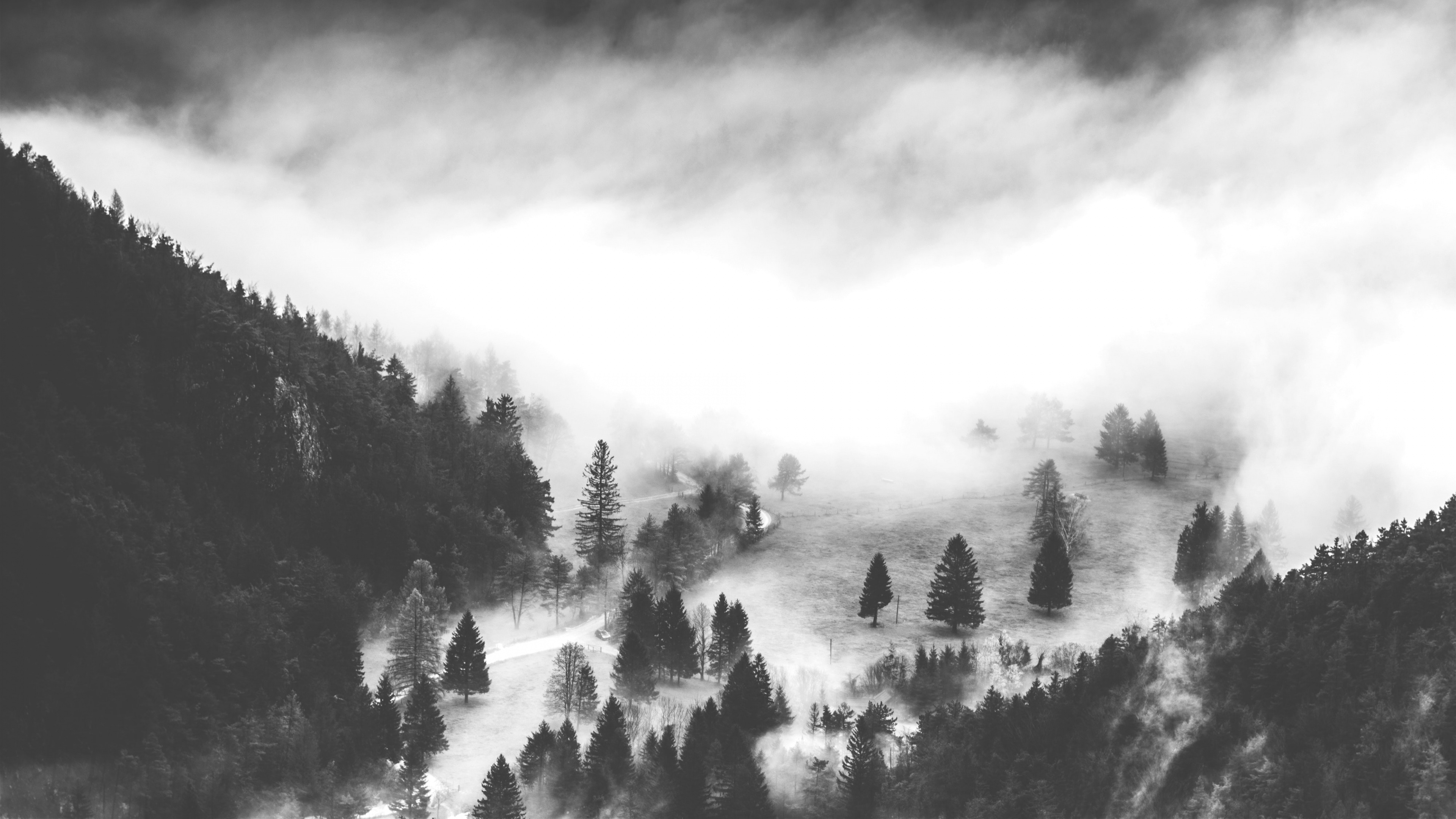 Grayscale Photo of Trees Covered With Snow. Wallpaper in 3840x2160 Resolution