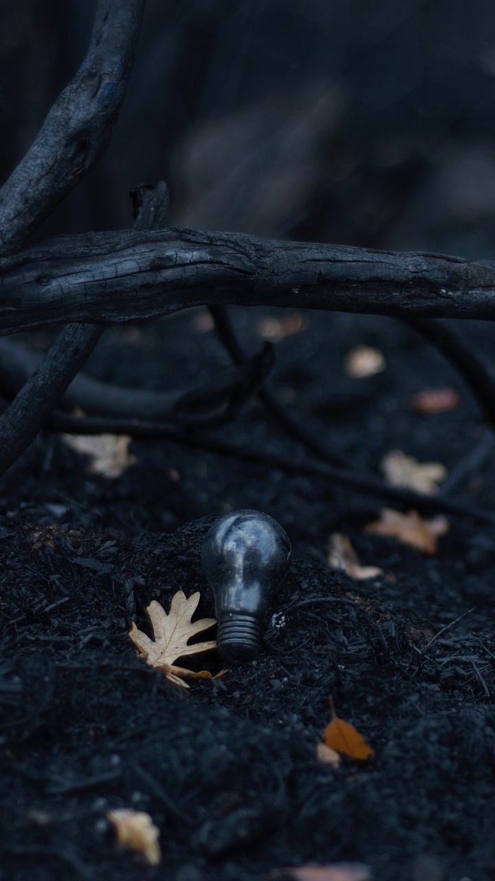 Darkness, Wood, Twig, Branch, Plant. Wallpaper in 720x1280 Resolution
