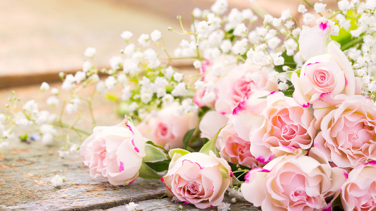 Pink and White Roses Bouquet. Wallpaper in 1280x720 Resolution