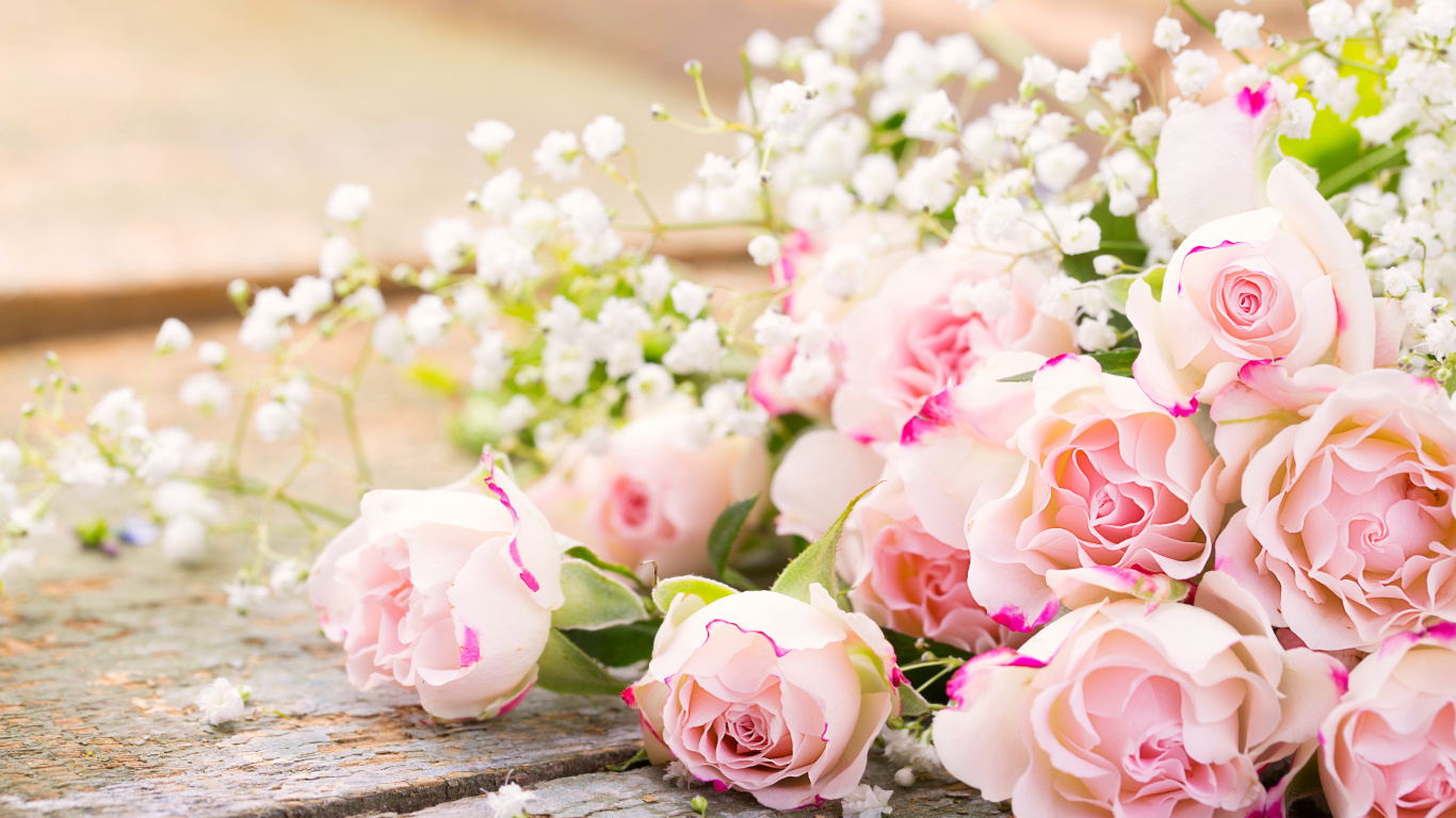 Pink and White Roses Bouquet. Wallpaper in 1366x768 Resolution