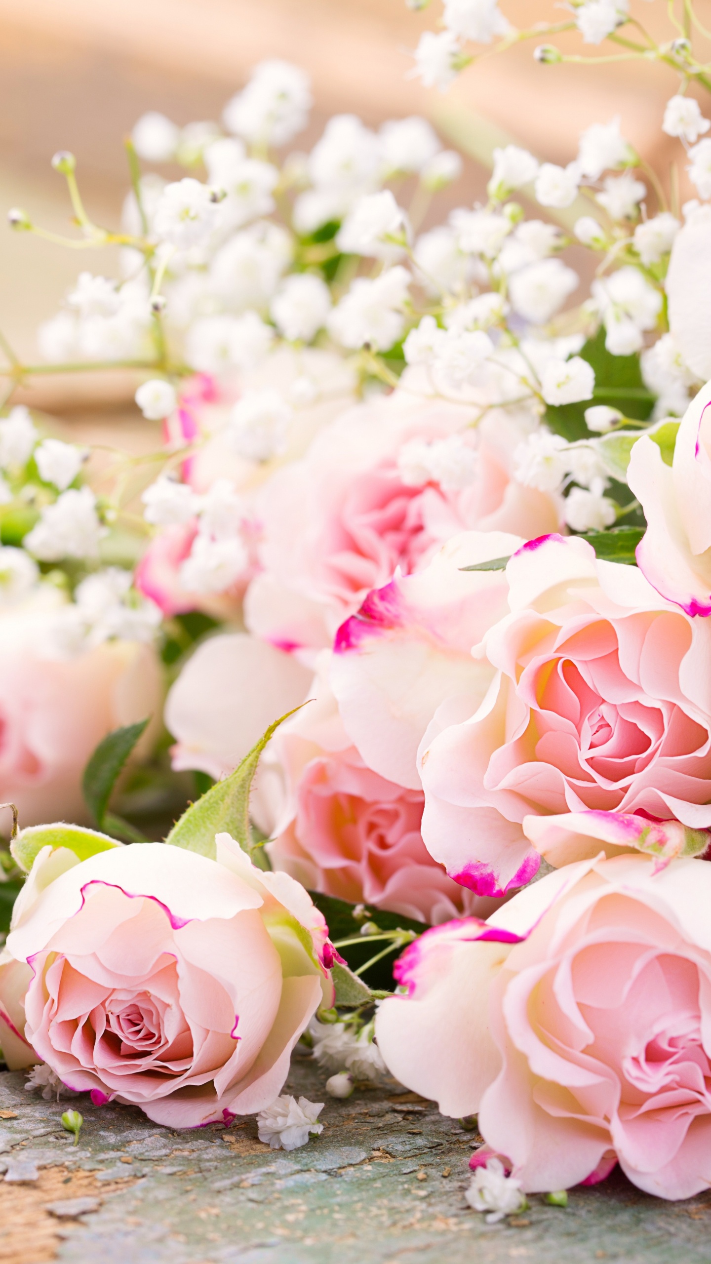 Pink and White Roses Bouquet. Wallpaper in 1440x2560 Resolution