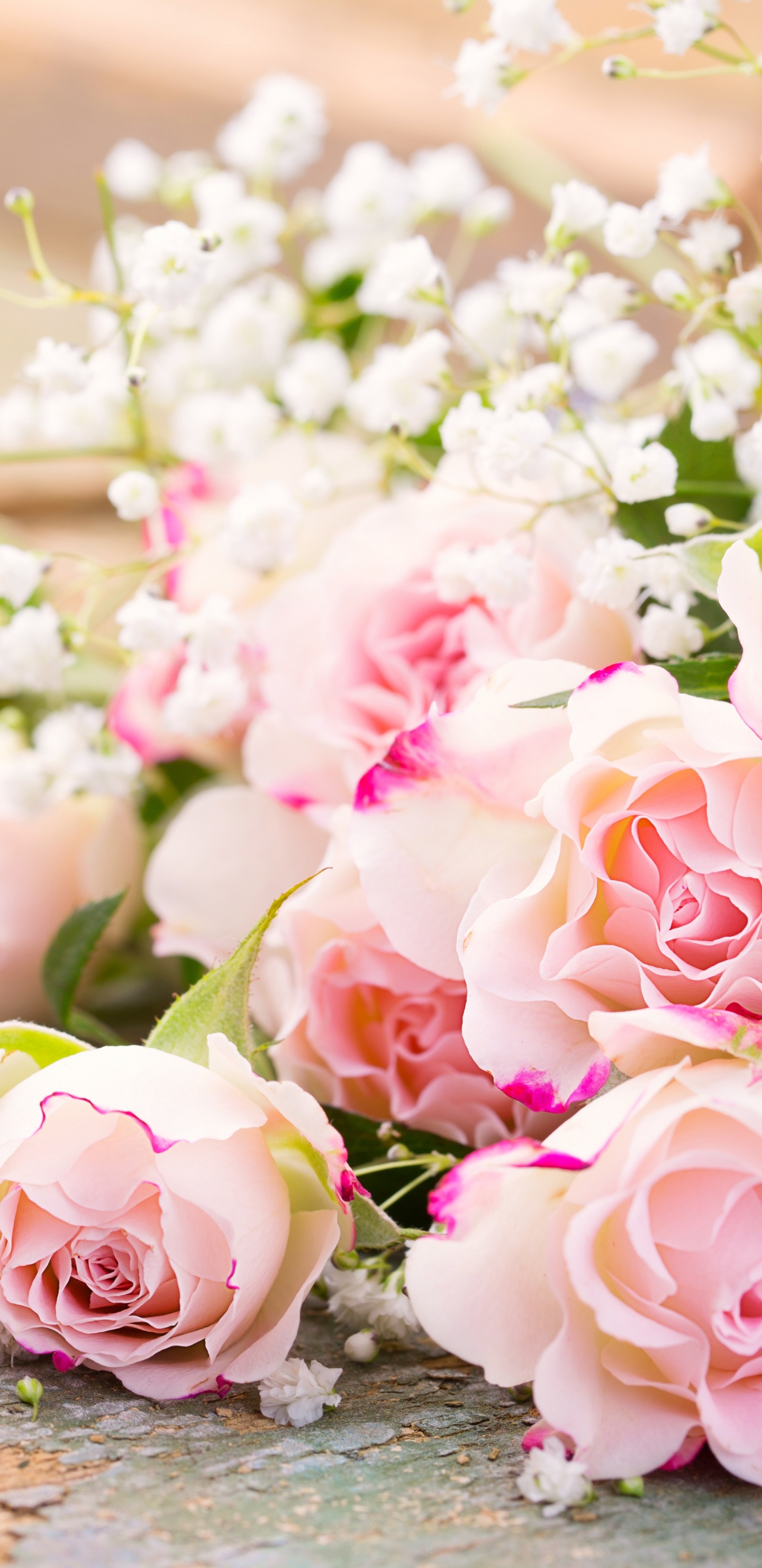 Pink and White Roses Bouquet. Wallpaper in 1440x2960 Resolution