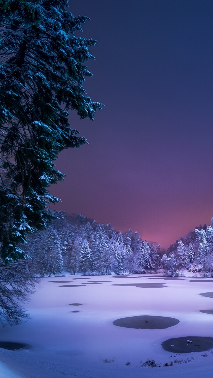 Arbres Couverts de Neige et Lac Pendant la Journée. Wallpaper in 720x1280 Resolution