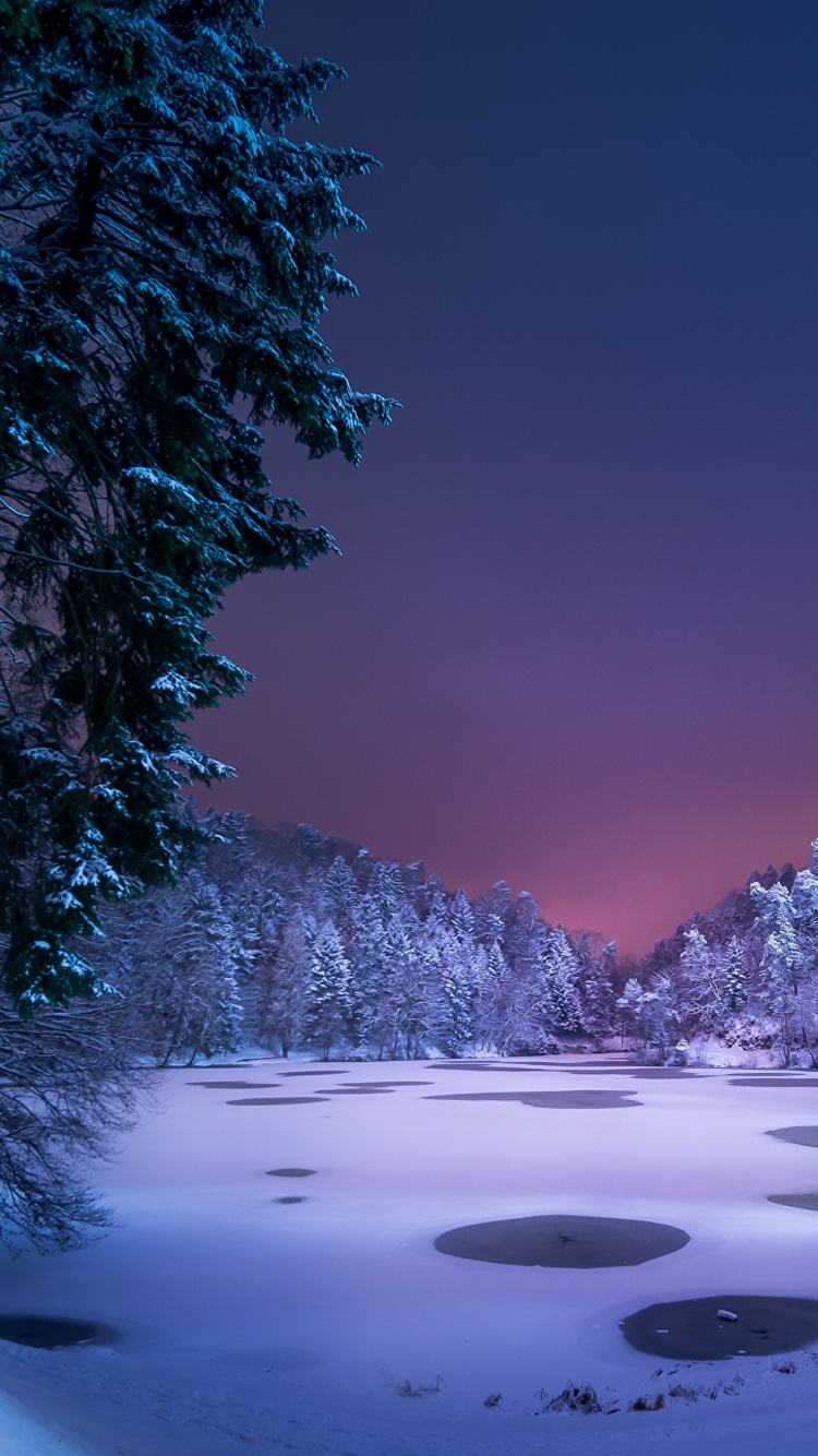 Schneebedeckte Bäume Und See Tagsüber. Wallpaper in 750x1334 Resolution