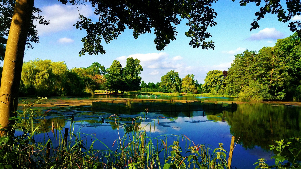 Green Trees Beside River Under Blue Sky During Daytime. Wallpaper in 1280x720 Resolution