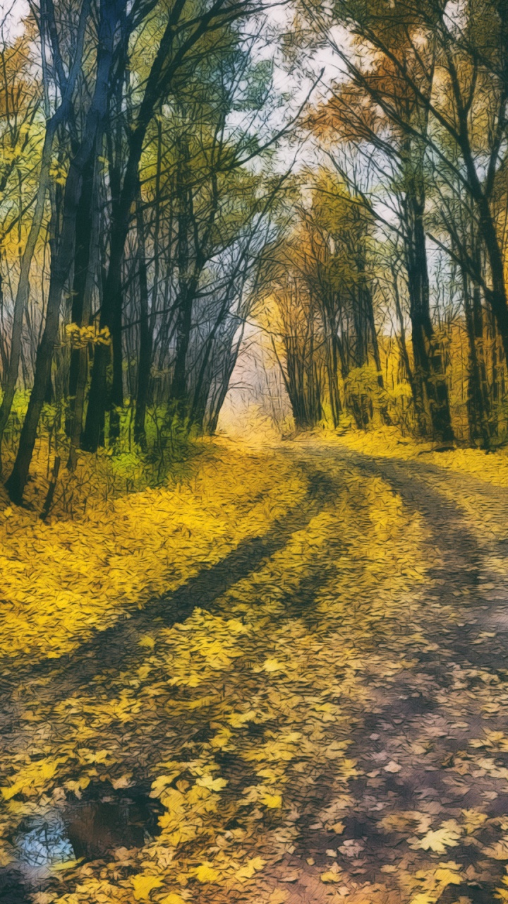 Natur, Menschen in Der Natur, Baum, Holz, Naturlandschaft. Wallpaper in 720x1280 Resolution