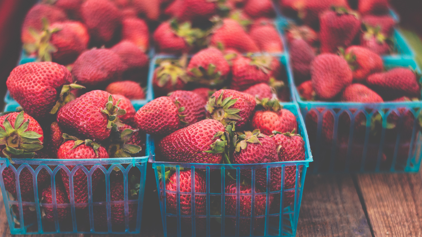 Fraises Rouges Dans Une Caisse en Plastique Bleue. Wallpaper in 1366x768 Resolution