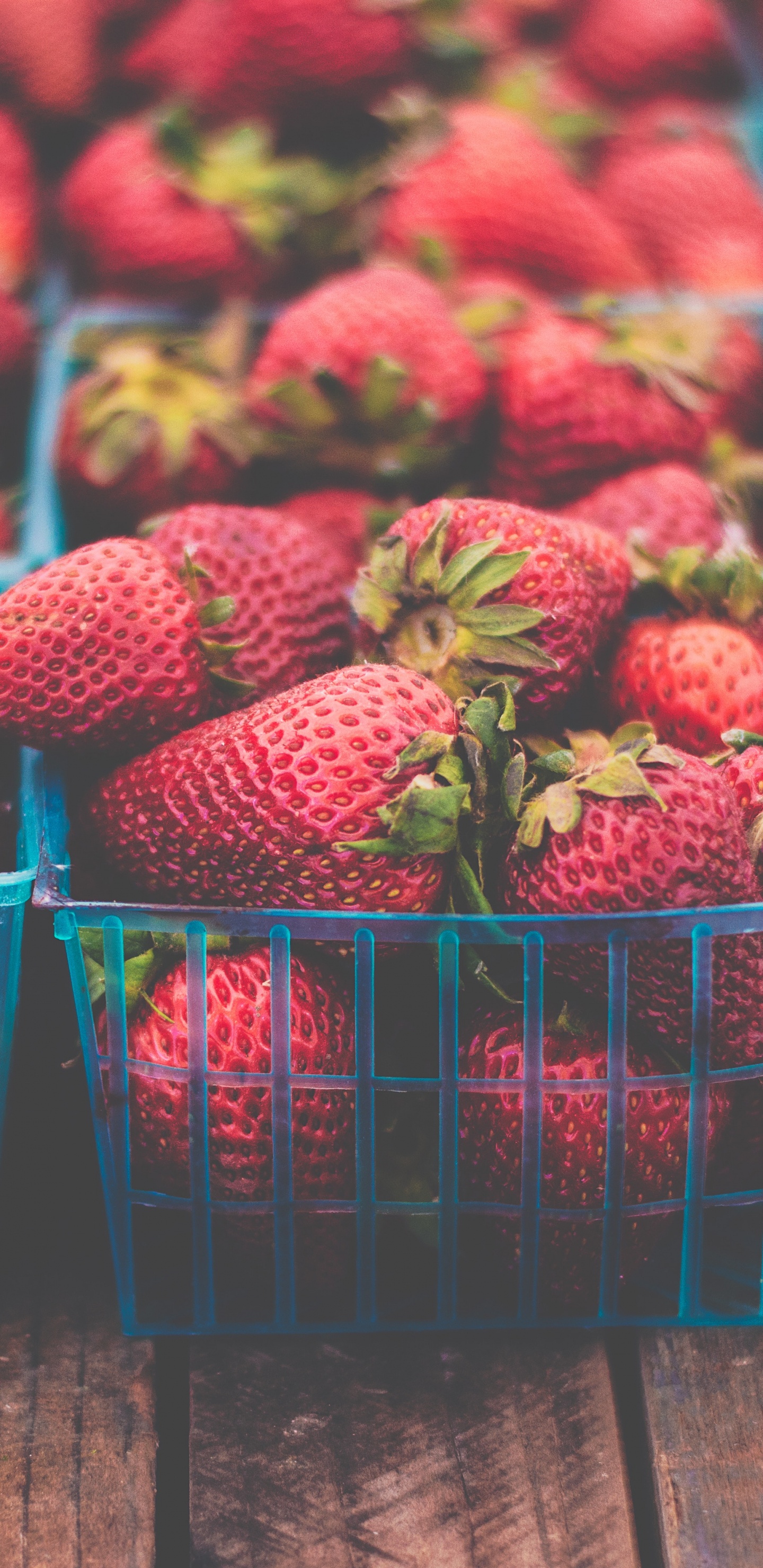 Fresas Rojas en Caja de Plástico Azul. Wallpaper in 1440x2960 Resolution