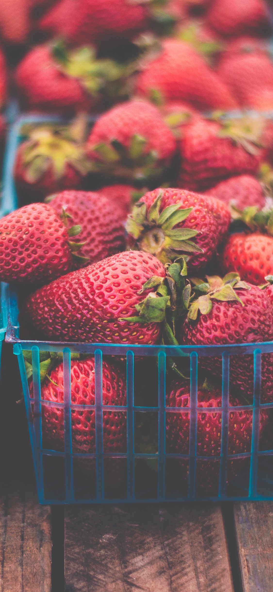 Red Strawberries in Blue Plastic Crate. Wallpaper in 1125x2436 Resolution