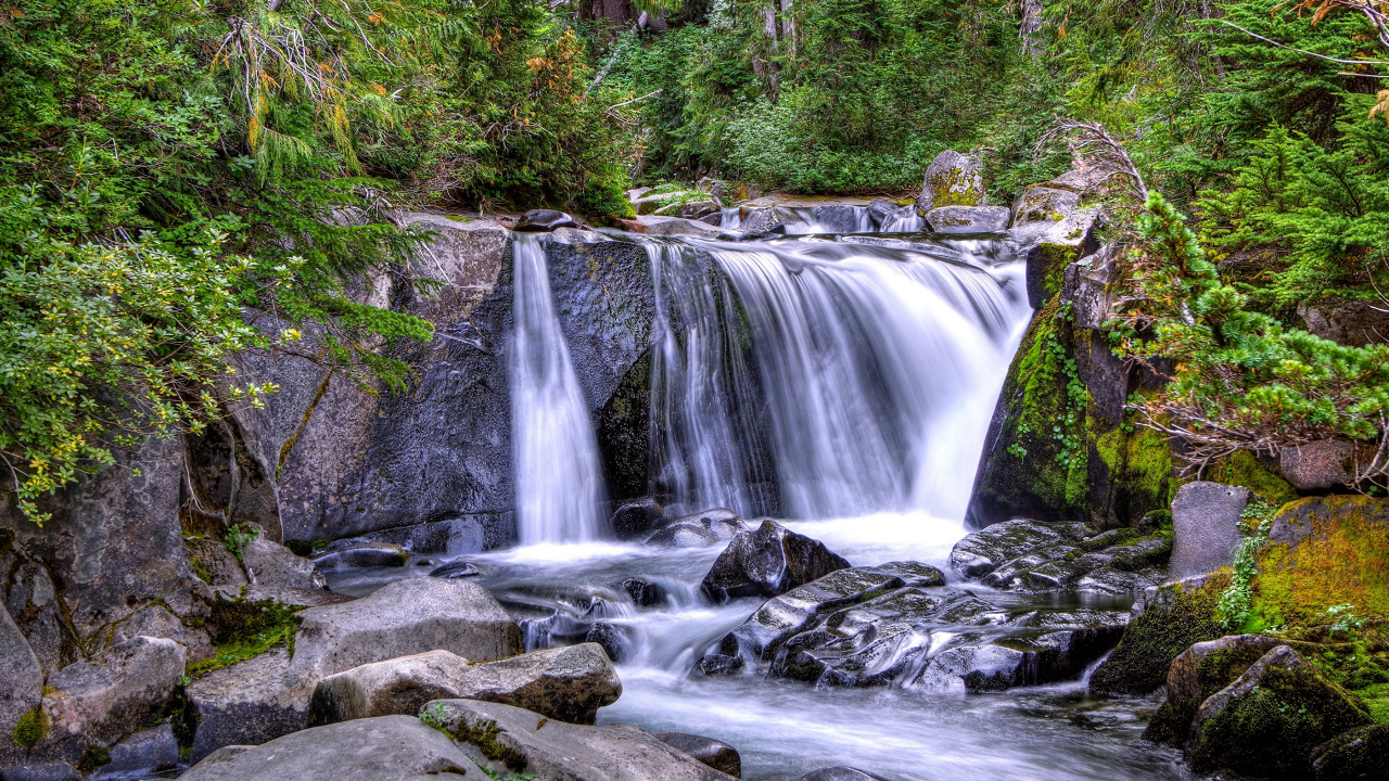 el Agua Cae en Medio Del Bosque. Wallpaper in 1280x720 Resolution