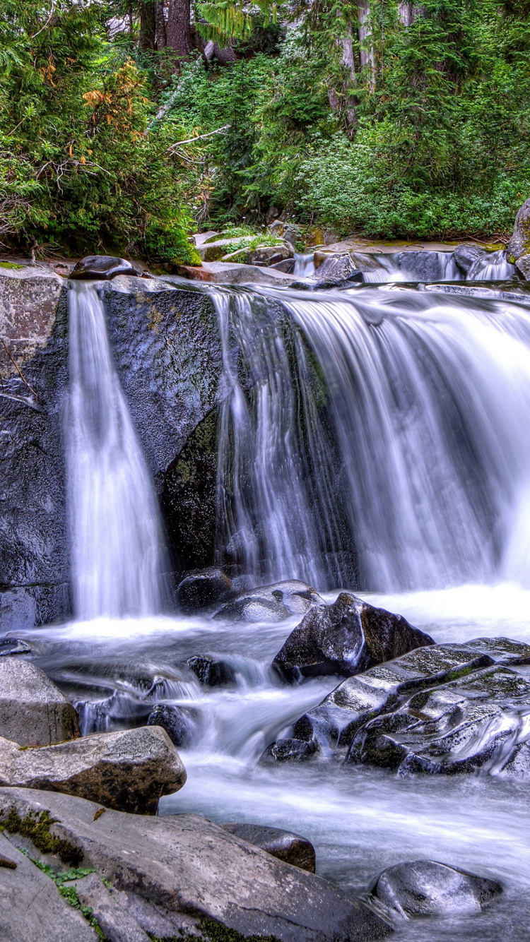 Water Falls in The Middle of The Forest. Wallpaper in 750x1334 Resolution