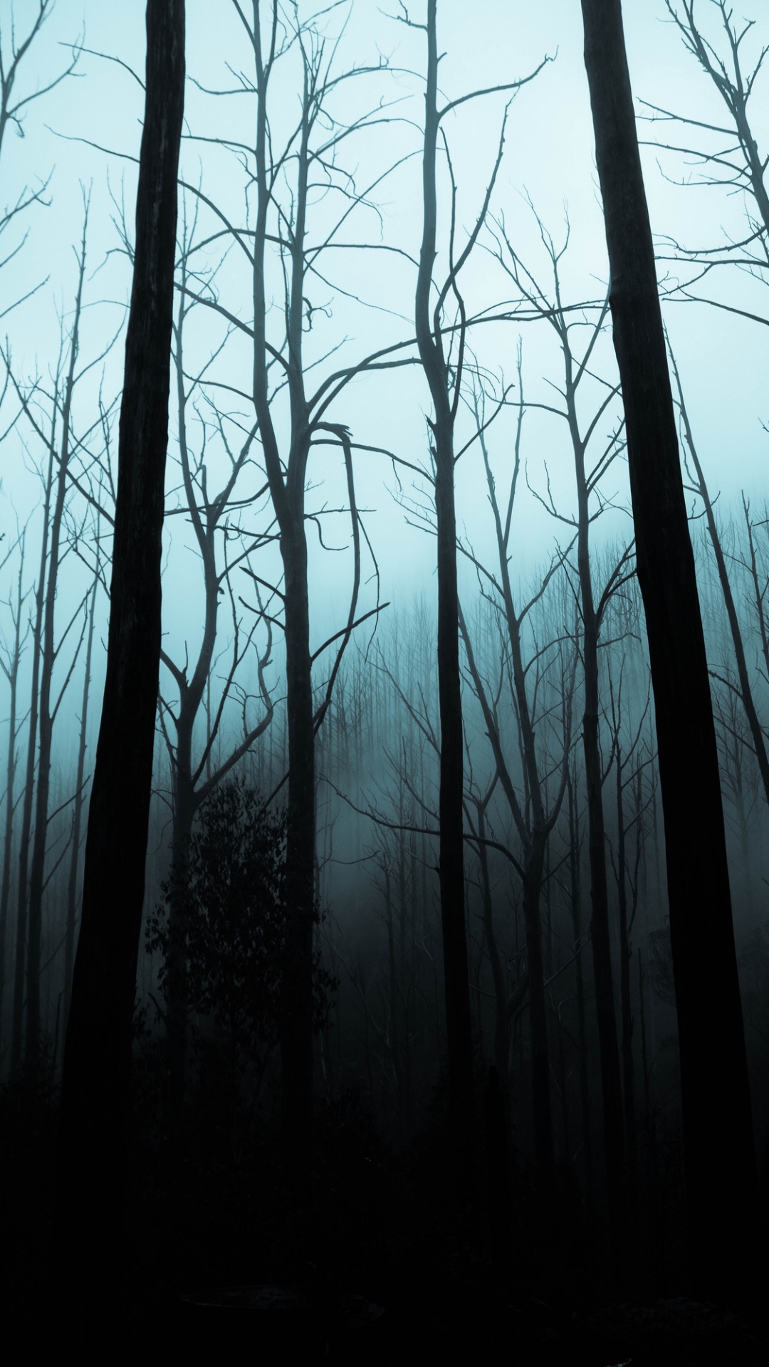 Halloween, Baum, Android, Branch, Holz. Wallpaper in 1080x1920 Resolution