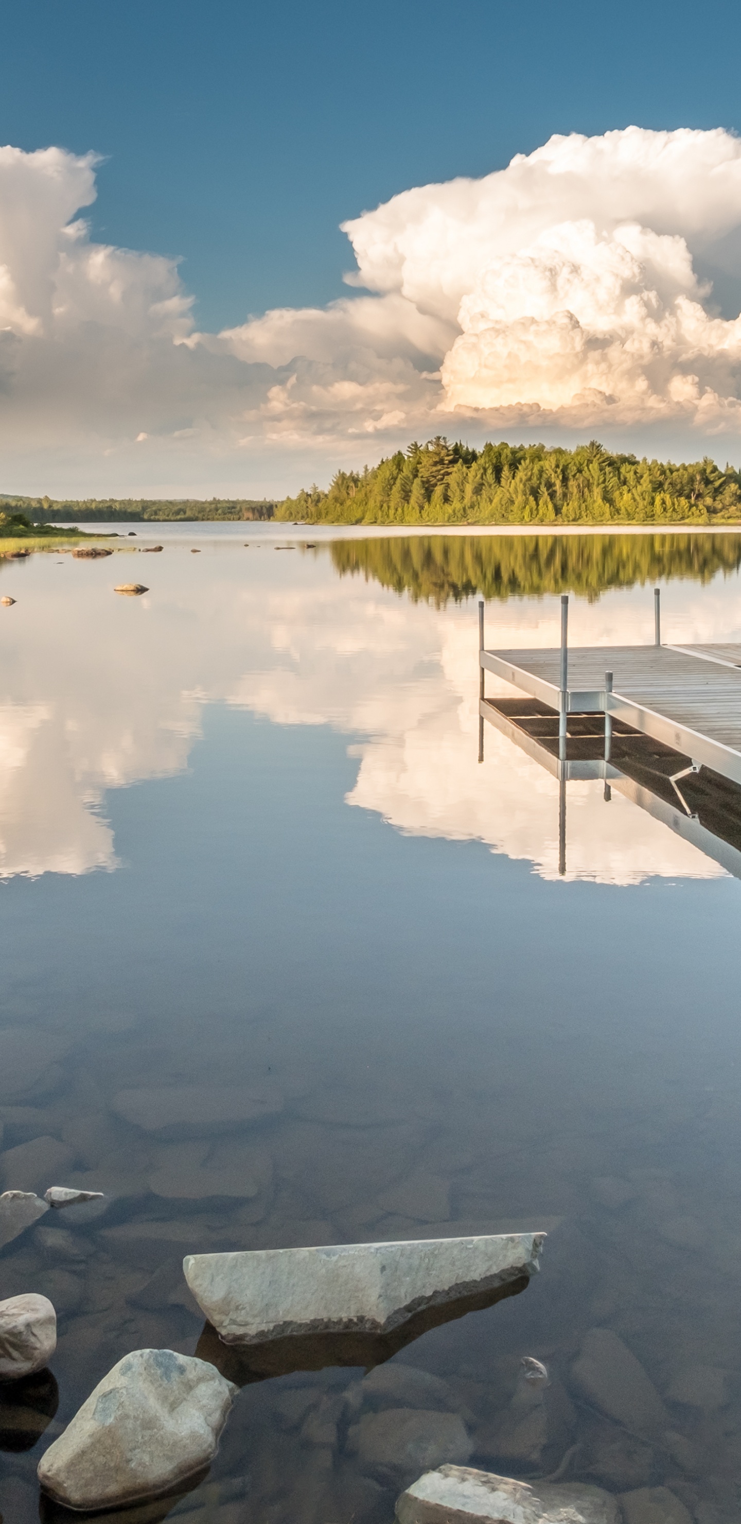 松下 Viera Th-hx750, 电视, 75 英寸, 松下, 水资源 壁纸 1440x2960 允许