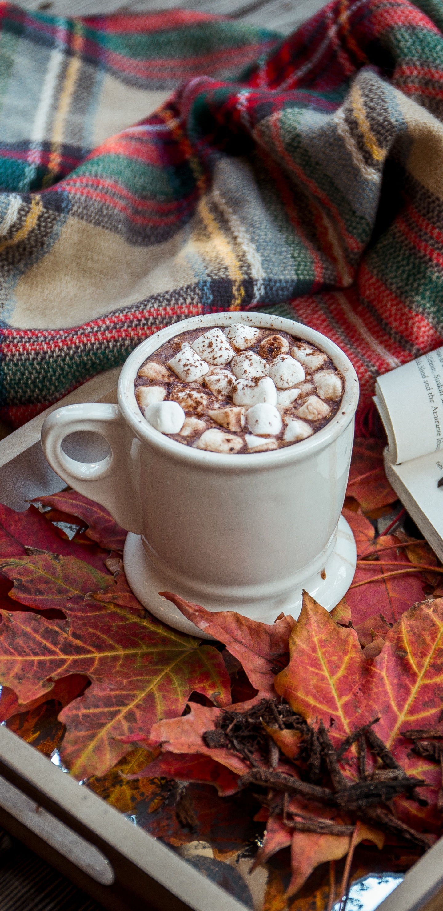 Mug en Céramique Blanche Sur Plateau en Bois Marron. Wallpaper in 1440x2960 Resolution