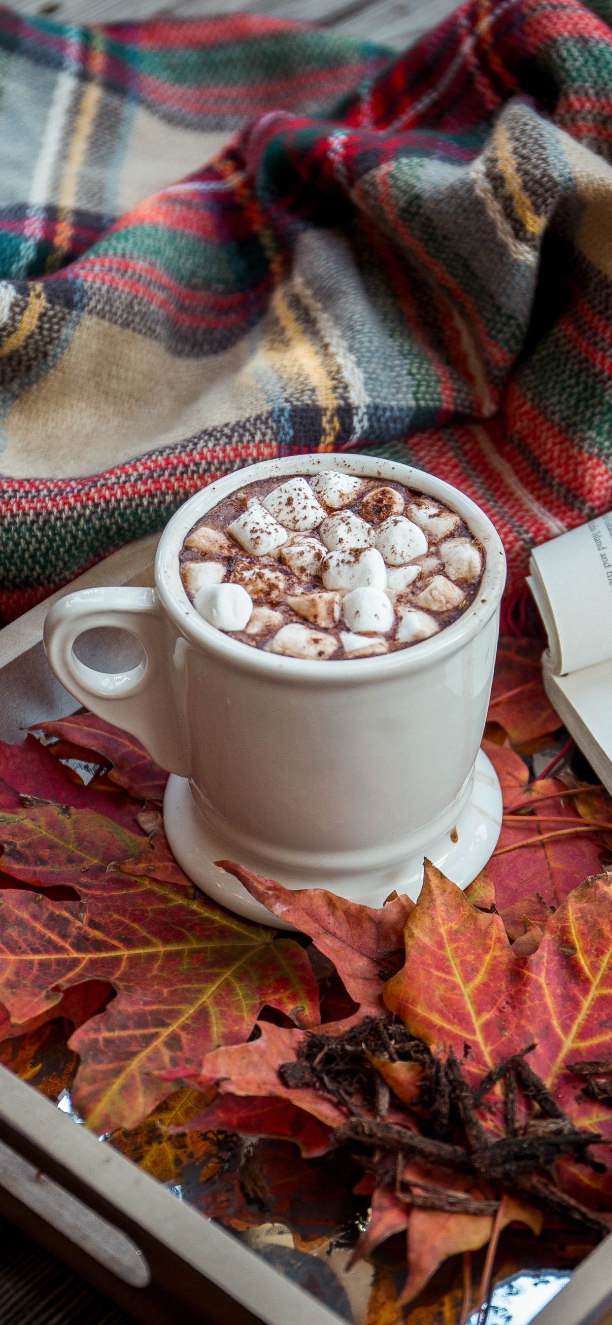 Taza de Cerámica Blanca en Bandeja de Madera Marrón. Wallpaper in 1242x2688 Resolution