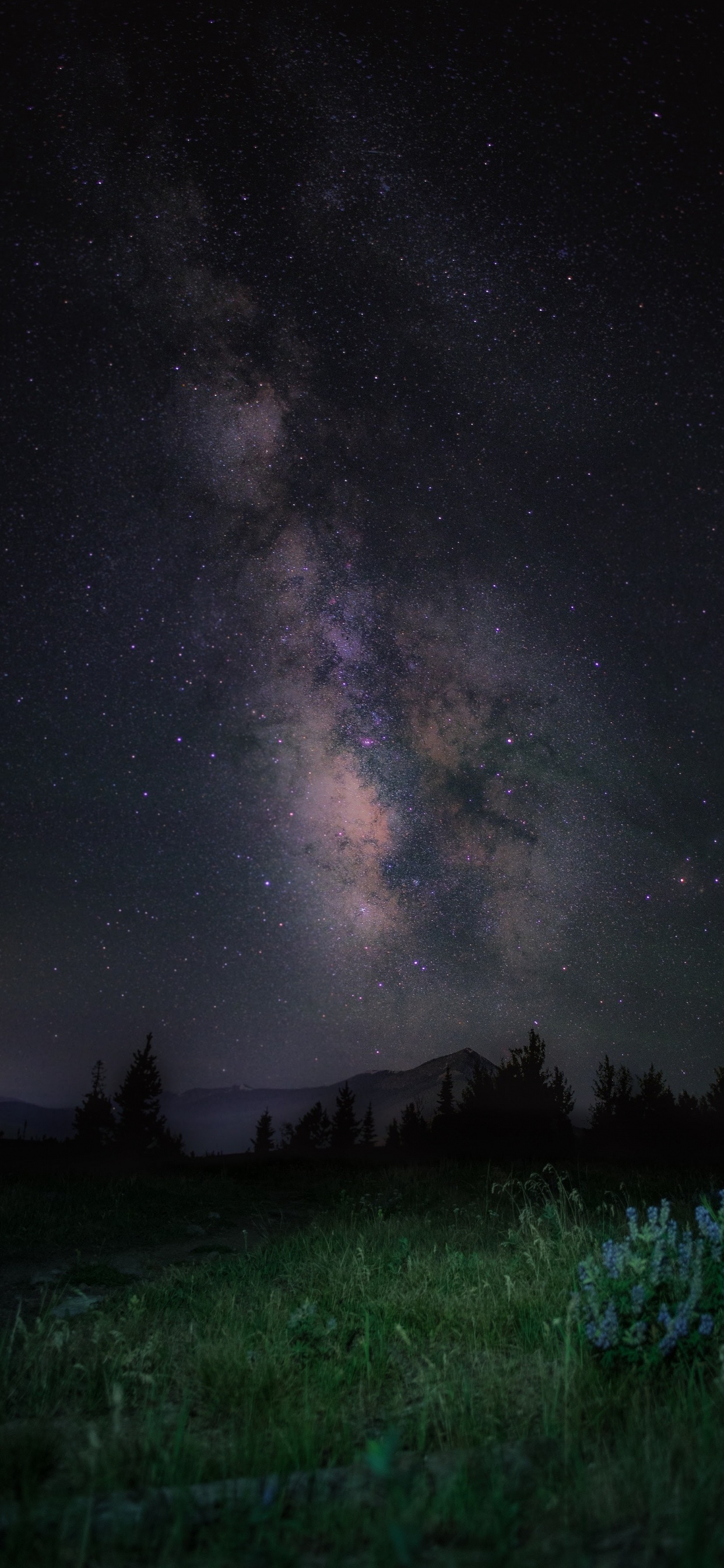 IPhone, IPhone X, Apple, IOS, Android. Wallpaper in 1242x2688 Resolution