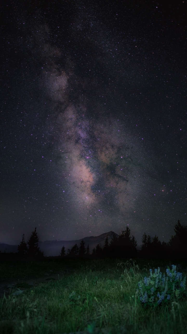 Apple, IPhone, IPhone X, Manzana, Ios. Wallpaper in 720x1280 Resolution