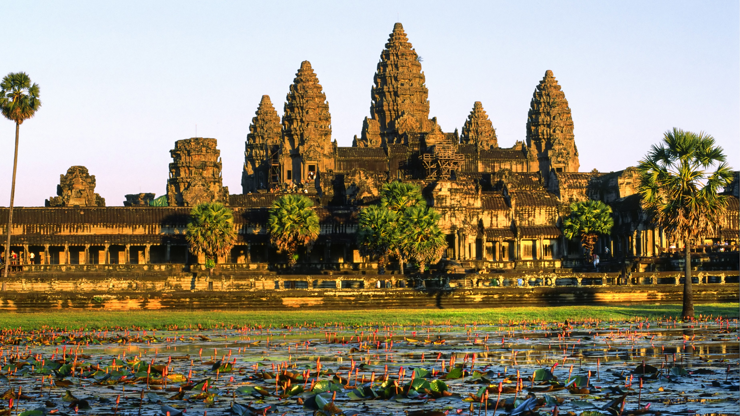 Arbres Verts Près du Plan D'eau Pendant la Journée. Wallpaper in 2560x1440 Resolution