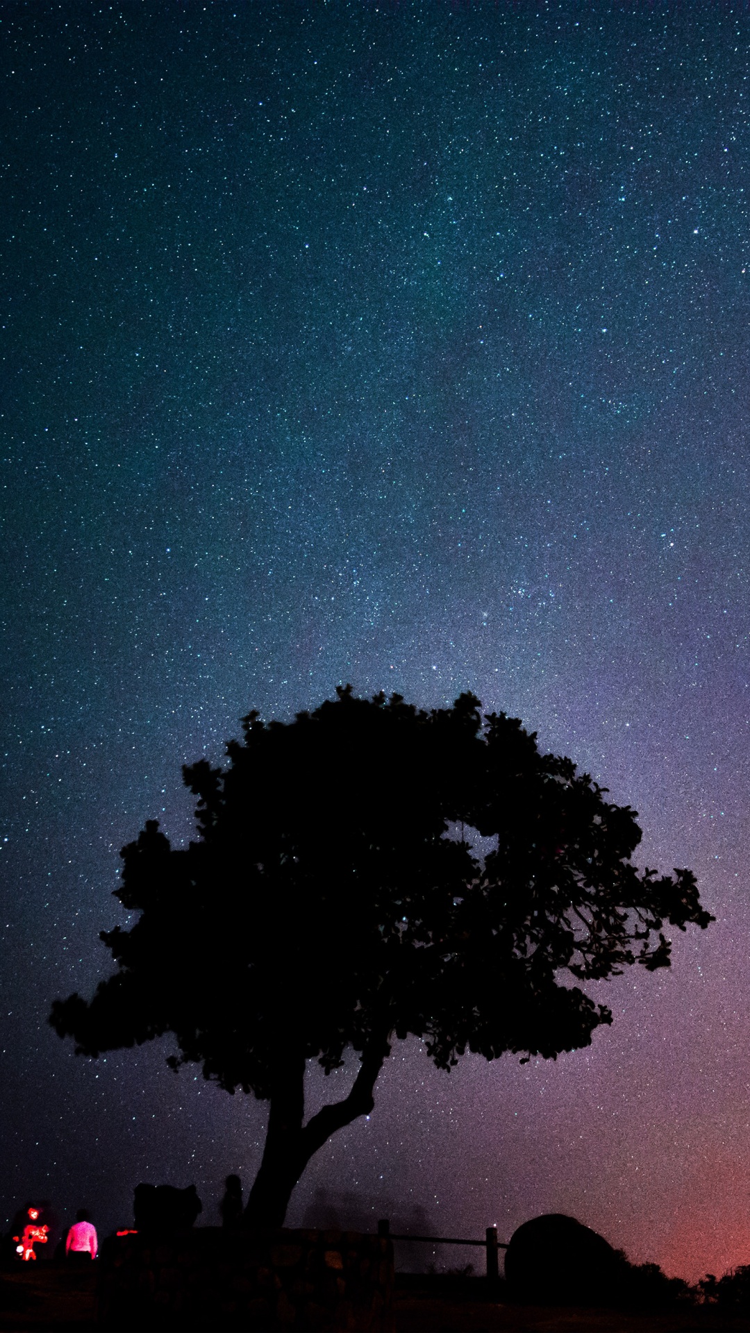 Puesta, Ambiente, Luz, Verde, Naturaleza. Wallpaper in 1080x1920 Resolution