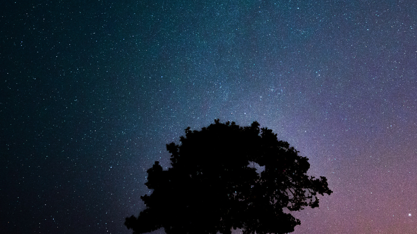 Puesta, Ambiente, Luz, Verde, Naturaleza. Wallpaper in 1366x768 Resolution