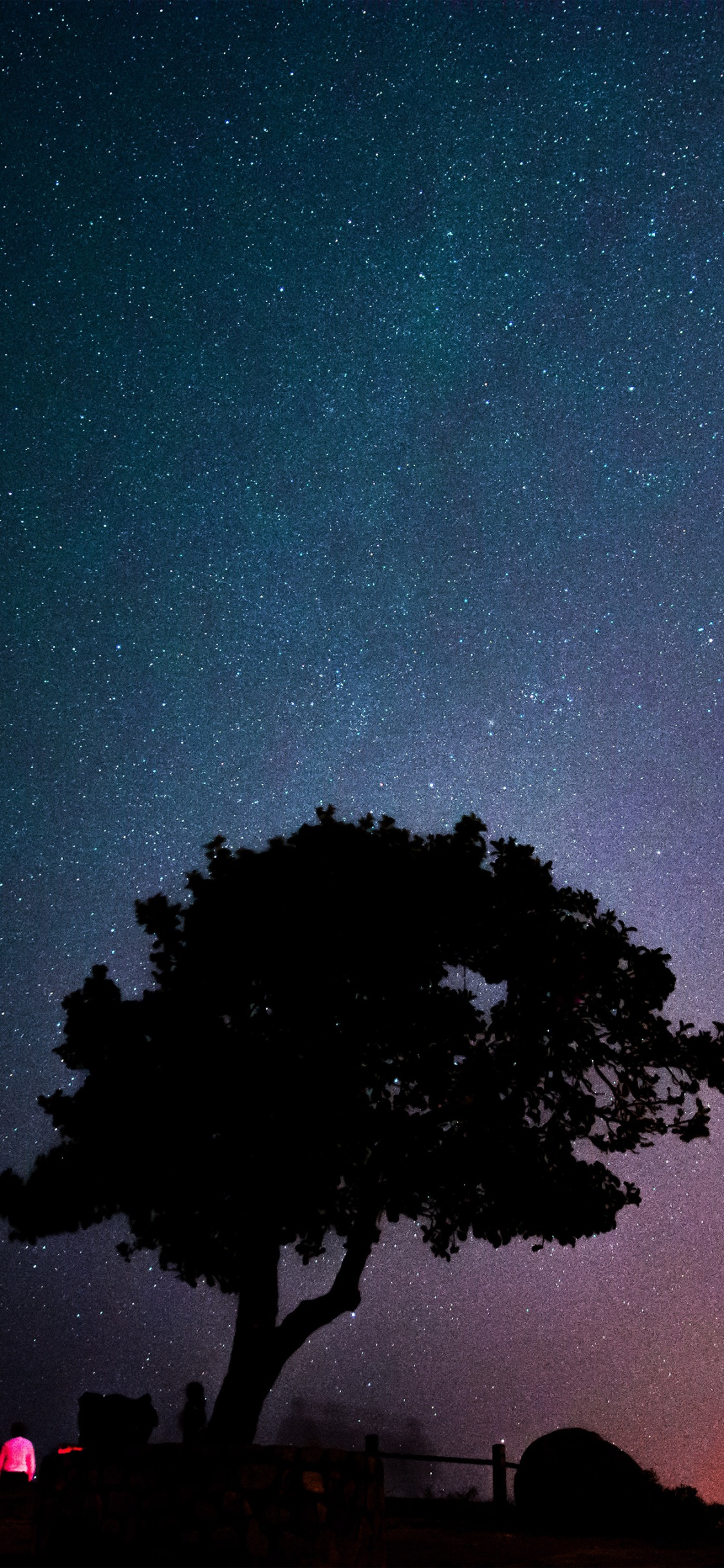 Sonnenuntergang, Atmosphäre, Licht, Gr, Natur. Wallpaper in 1125x2436 Resolution