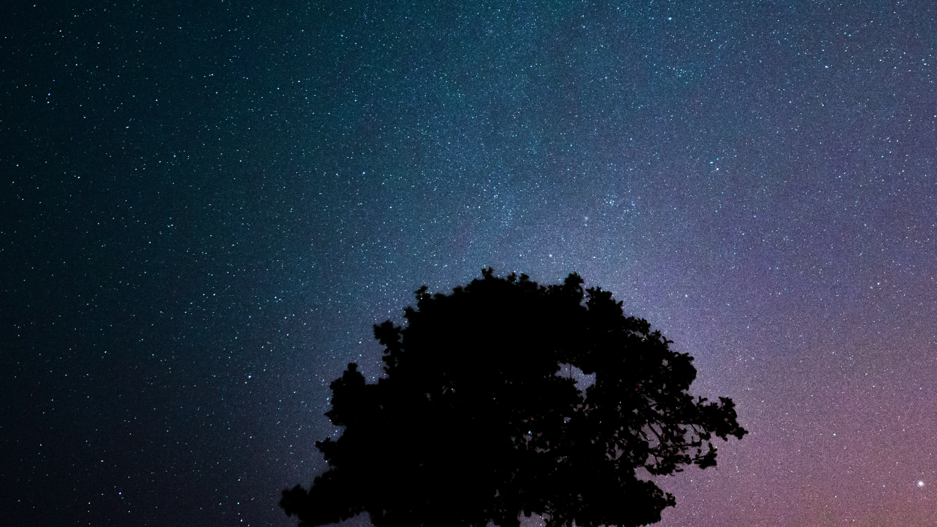 Sonnenuntergang, Atmosphäre, Licht, Gr, Natur. Wallpaper in 1920x1080 Resolution