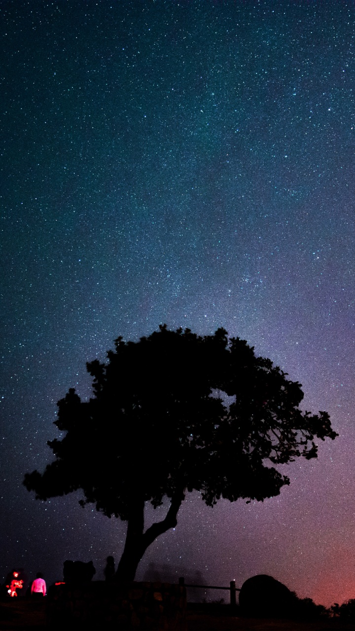 Sunset, Atmosphere, World, Light, Green. Wallpaper in 720x1280 Resolution