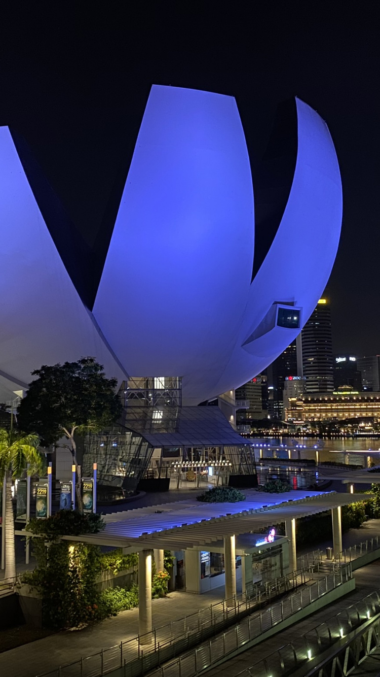 Singapore, Reflection, Water, Skyscraper, Night. Wallpaper in 750x1334 Resolution