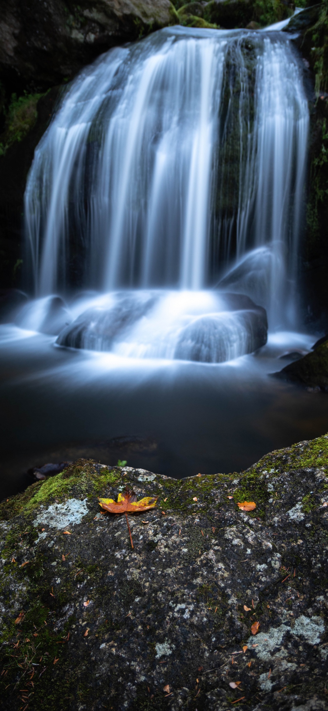 Wasserfall, Gewässer, Wasserressourcen, Naturlandschaft, Natur. Wallpaper in 1125x2436 Resolution