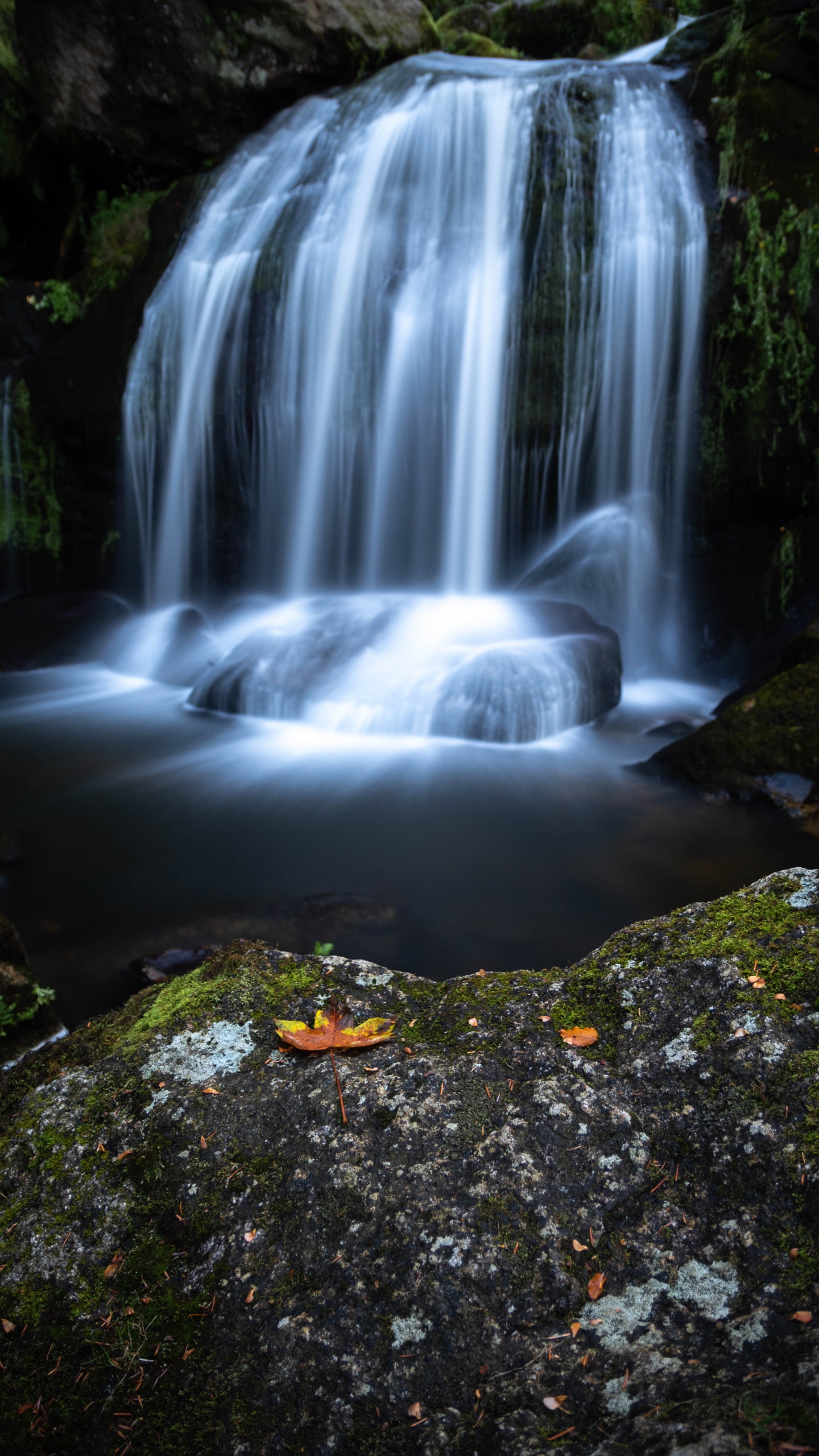 Waterfall, Body of Water, Water Resources, Natural Landscape, Nature. Wallpaper in 1440x2560 Resolution