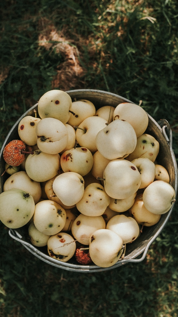 Apple, 食品, 产生, 苹果, 拿铁咖啡 壁纸 720x1280 允许