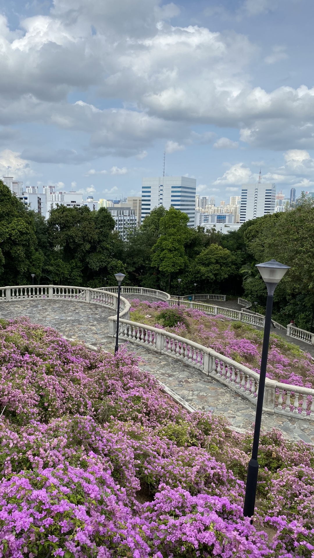 Cuerpo de Agua, Naturaleza, la Vegetación, Pétalo, Carretera. Wallpaper in 1080x1920 Resolution