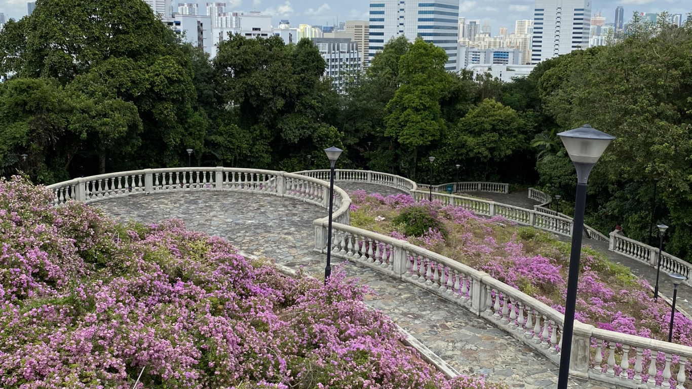 Gewässer, Natur, Vegetation, Blütenblatt, Road. Wallpaper in 1366x768 Resolution