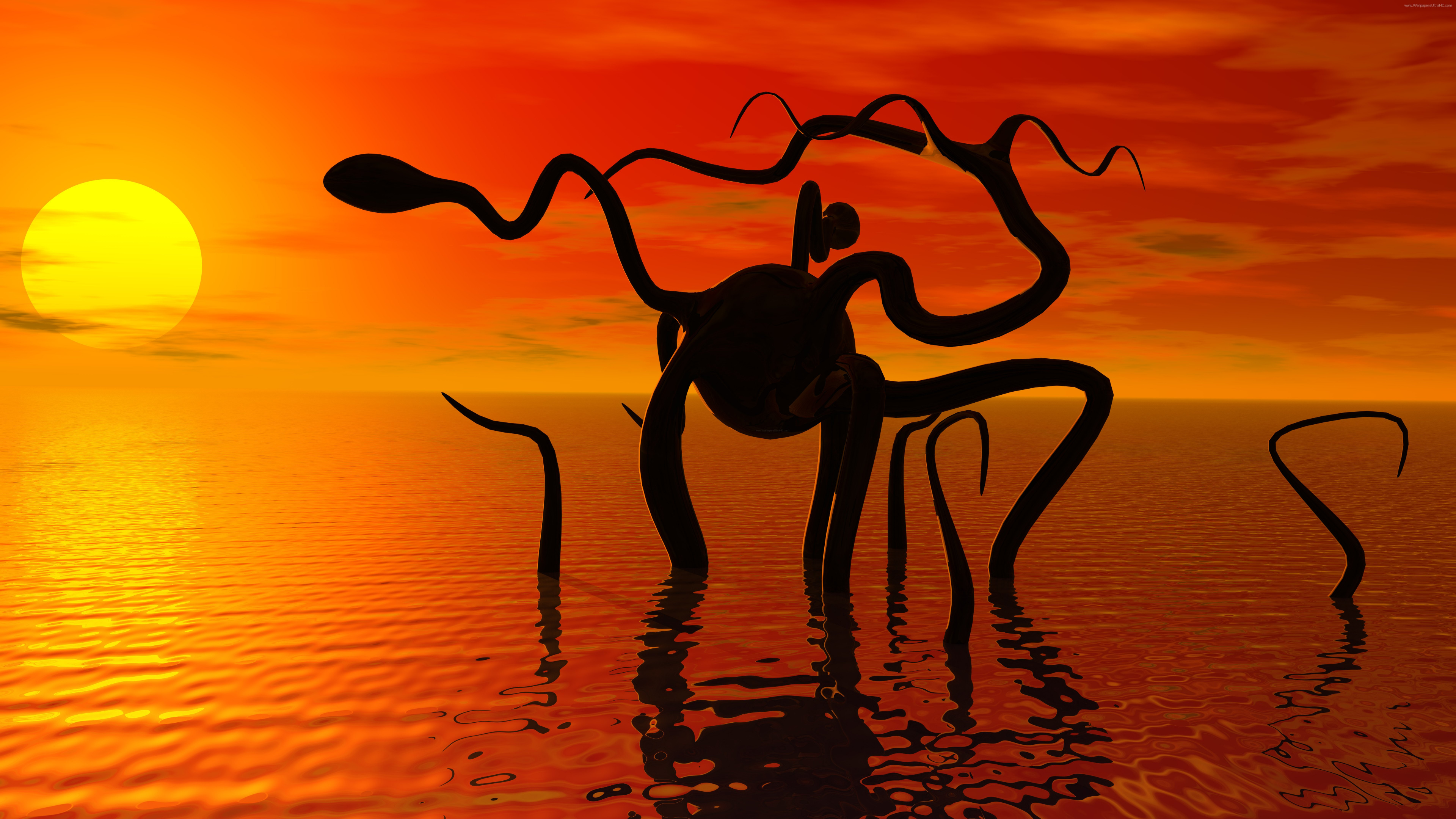 Silhouette de 2 Oiseaux Sur un Plan D'eau Pendant le Coucher du Soleil. Wallpaper in 3840x2160 Resolution