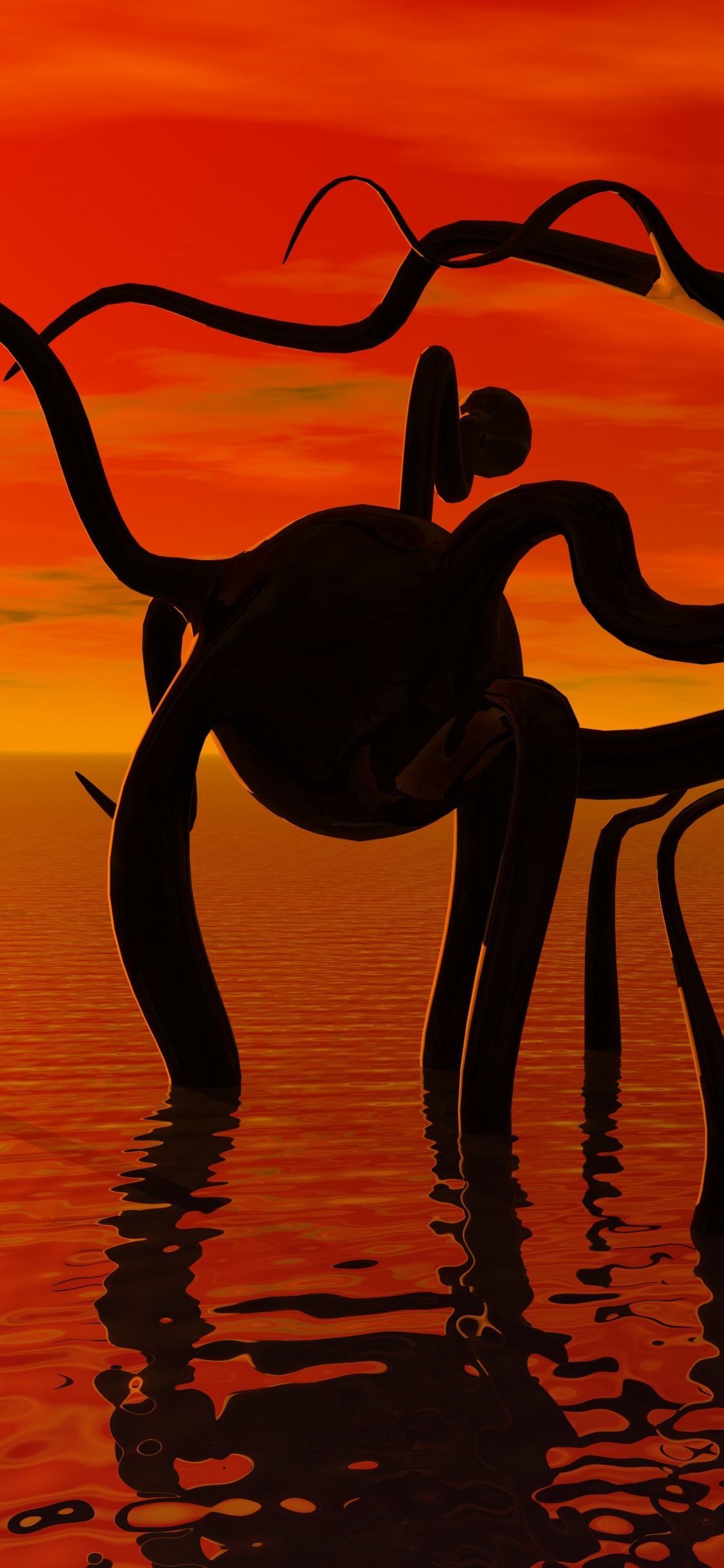 Silhouette of 2 Birds on Body of Water During Sunset. Wallpaper in 1125x2436 Resolution