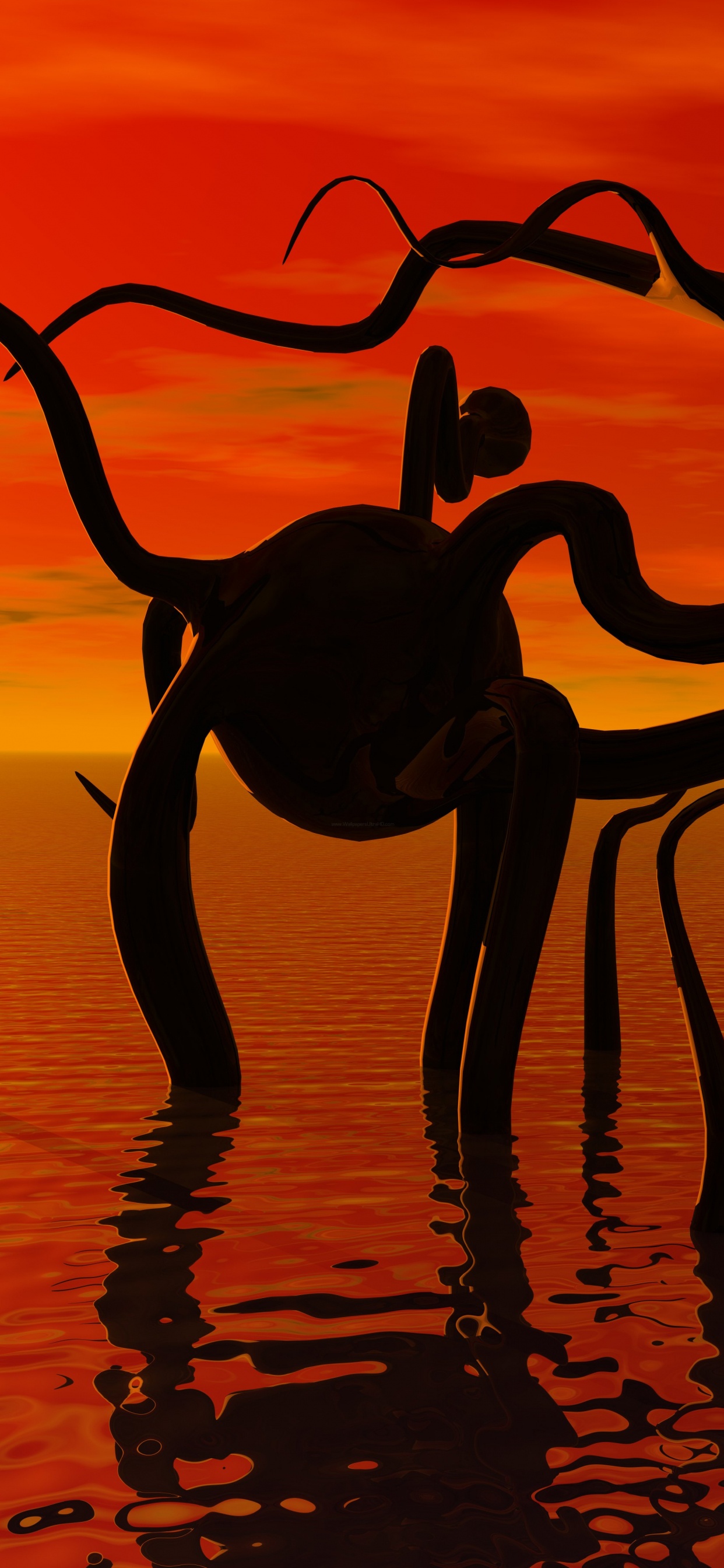 Silhouette of 2 Birds on Body of Water During Sunset. Wallpaper in 1242x2688 Resolution