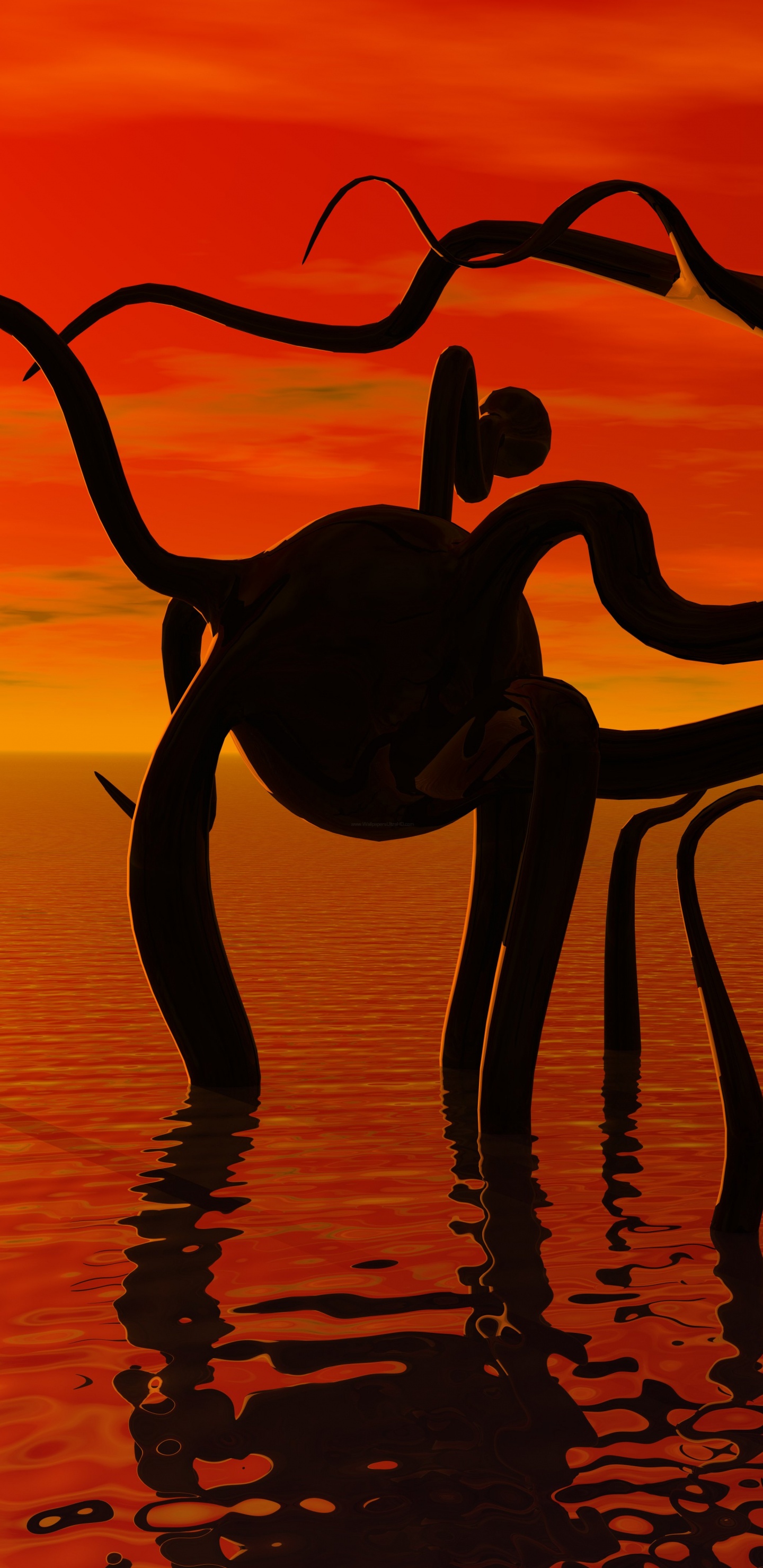 Silhouette of 2 Birds on Body of Water During Sunset. Wallpaper in 1440x2960 Resolution