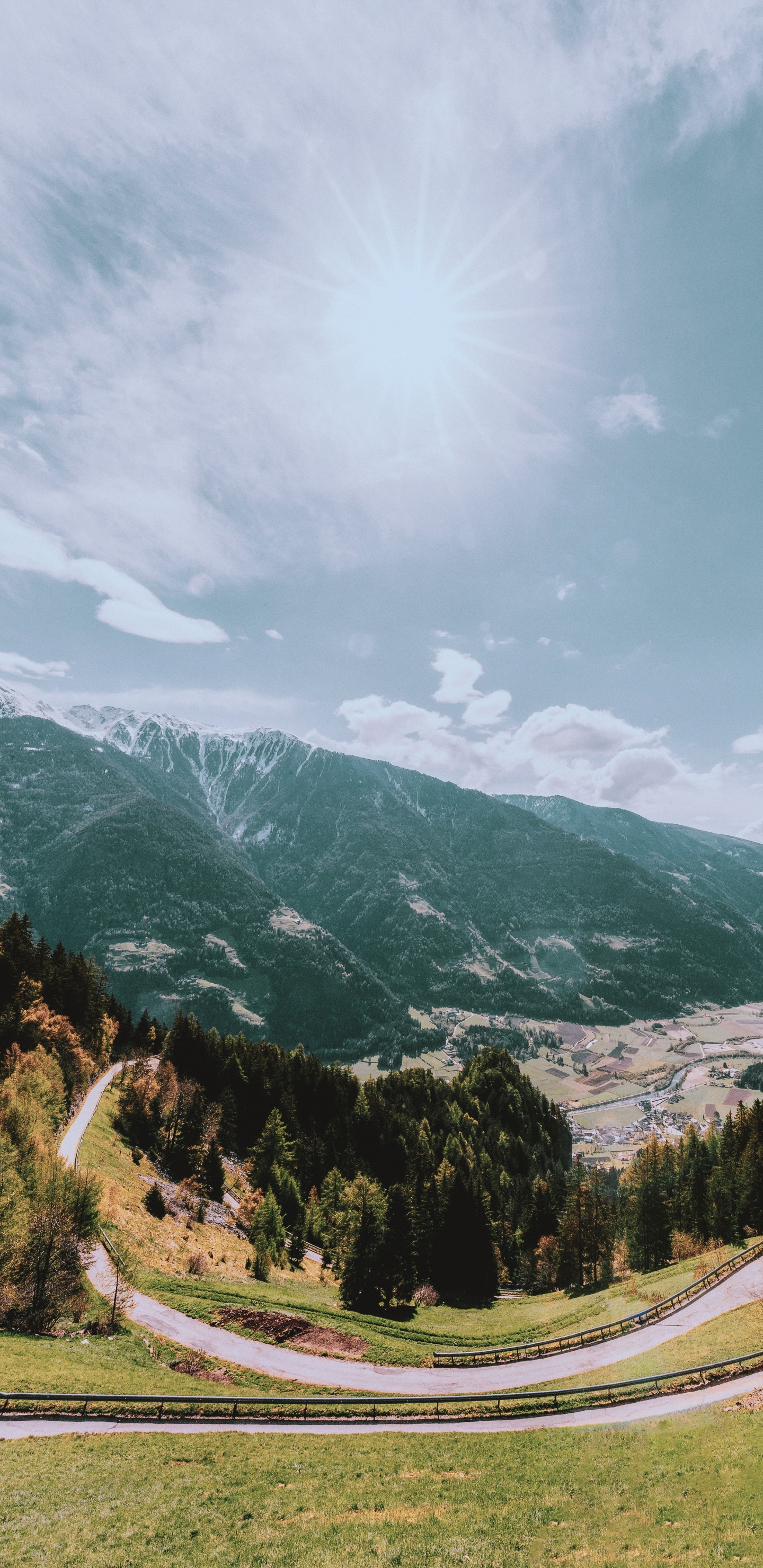 Tree, Cloud, Mountain, Landscape, Plant. Wallpaper in 1440x2960 Resolution