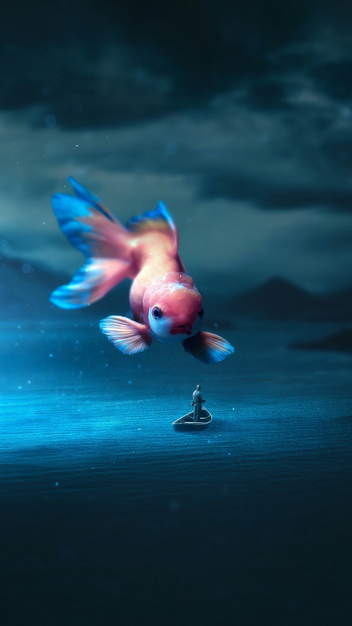 Eau, Oiseau, Bec, Art, Aile. Wallpaper in 720x1280 Resolution