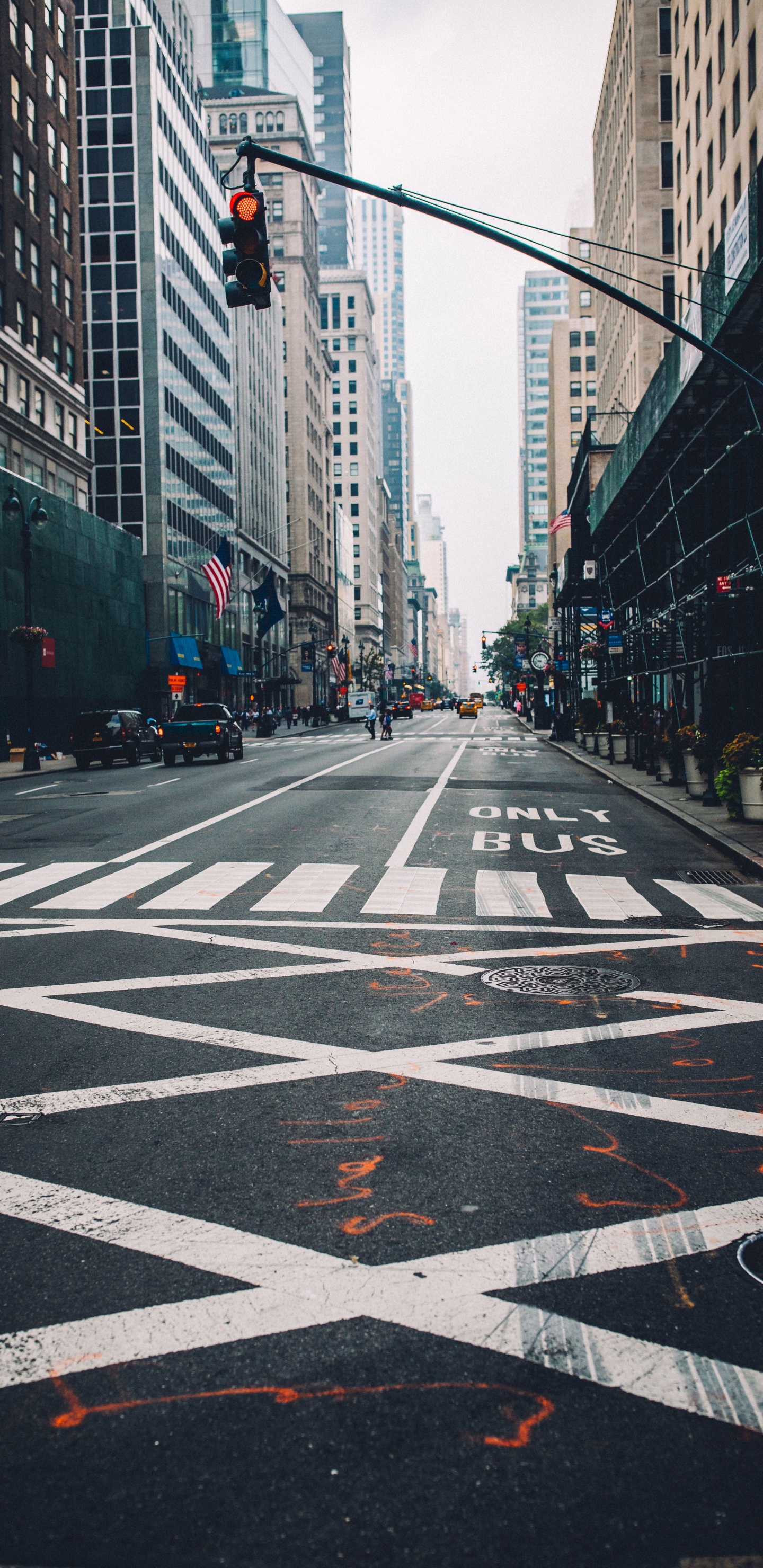 Black and White Pedestrian Lane. Wallpaper in 1440x2960 Resolution