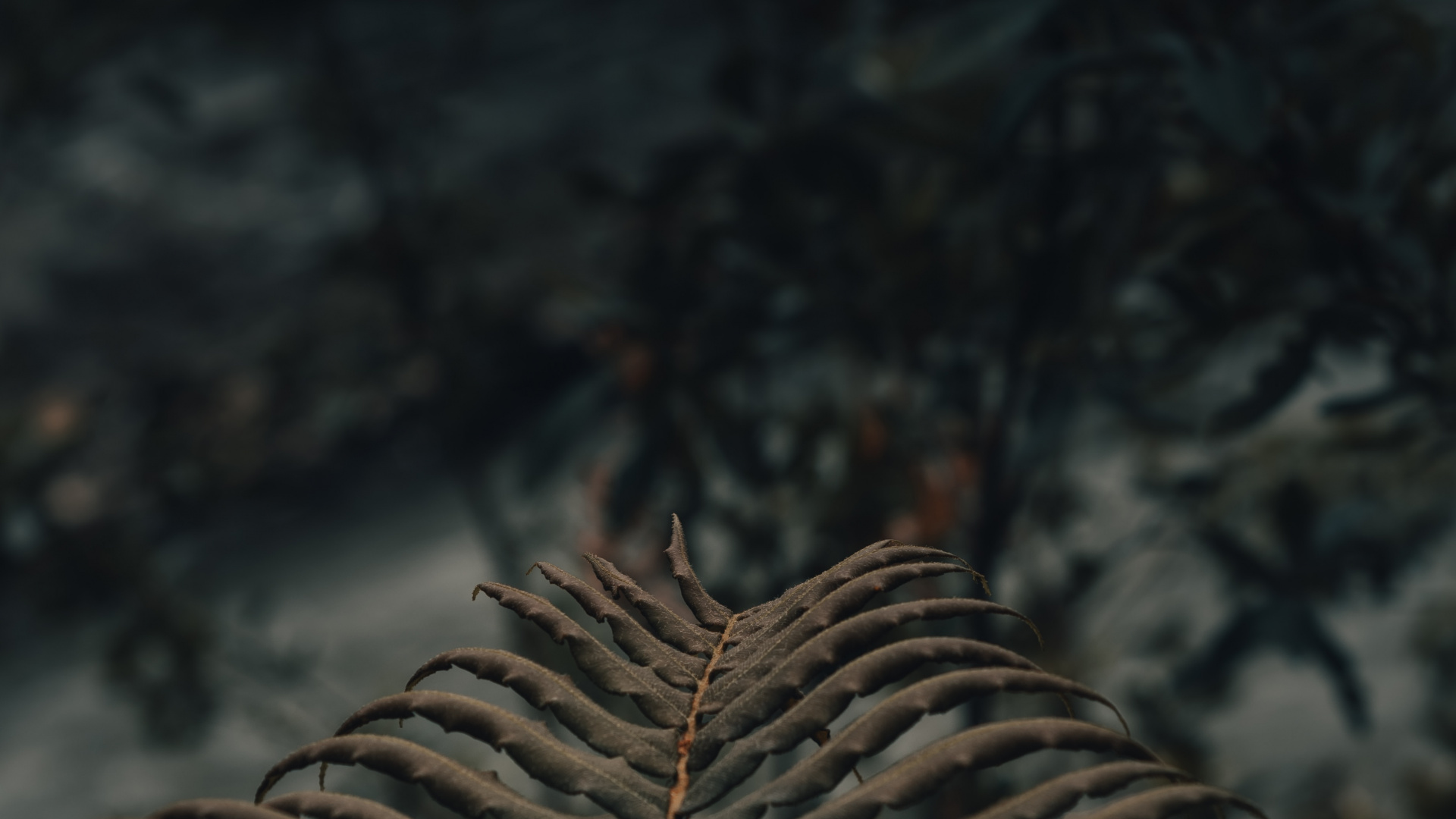 Brown Tree Branch in Close up Photography. Wallpaper in 1920x1080 Resolution