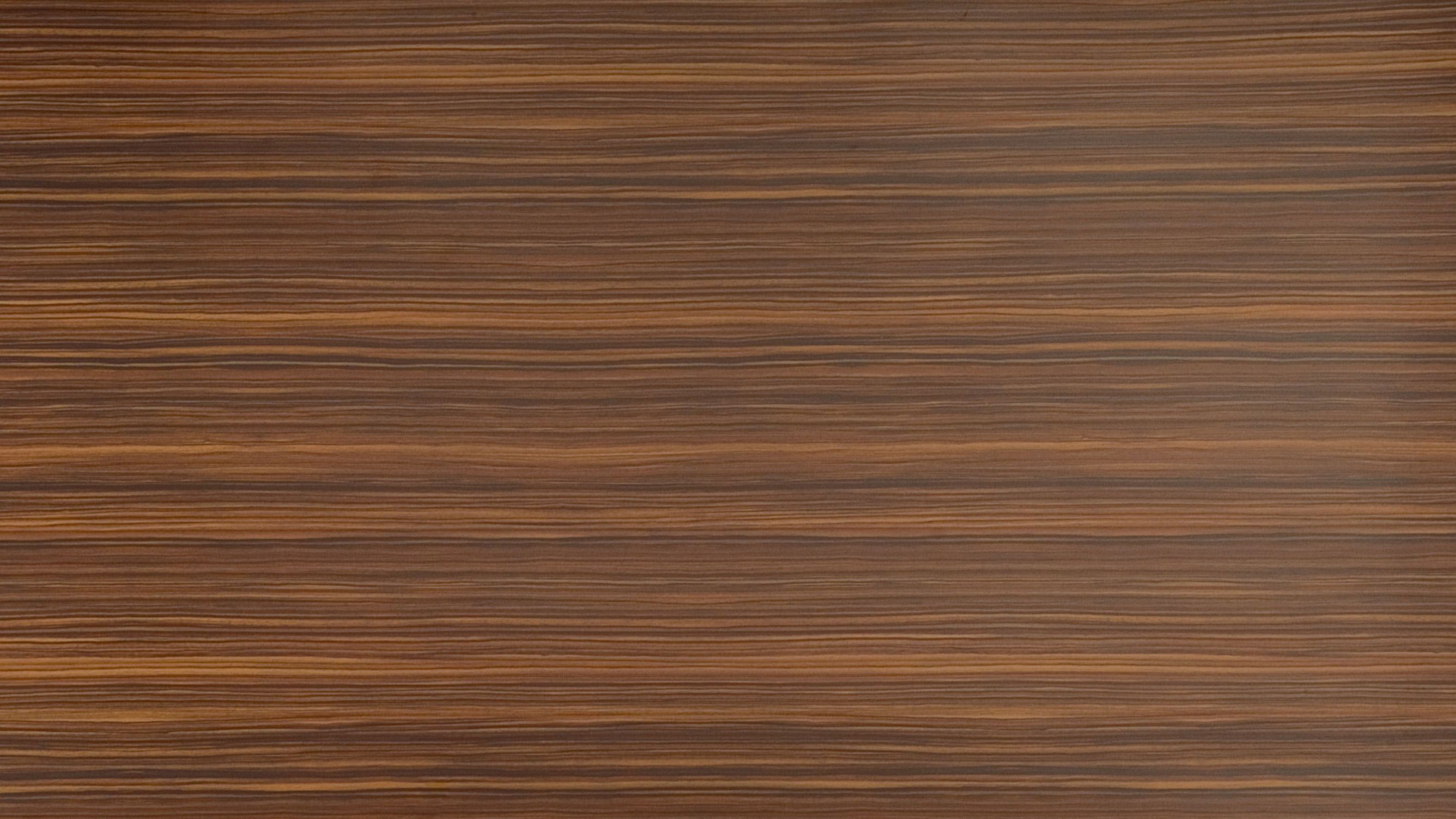 硬木, 木染色, 地板, 木, 胶合板 壁纸 1920x1080 允许