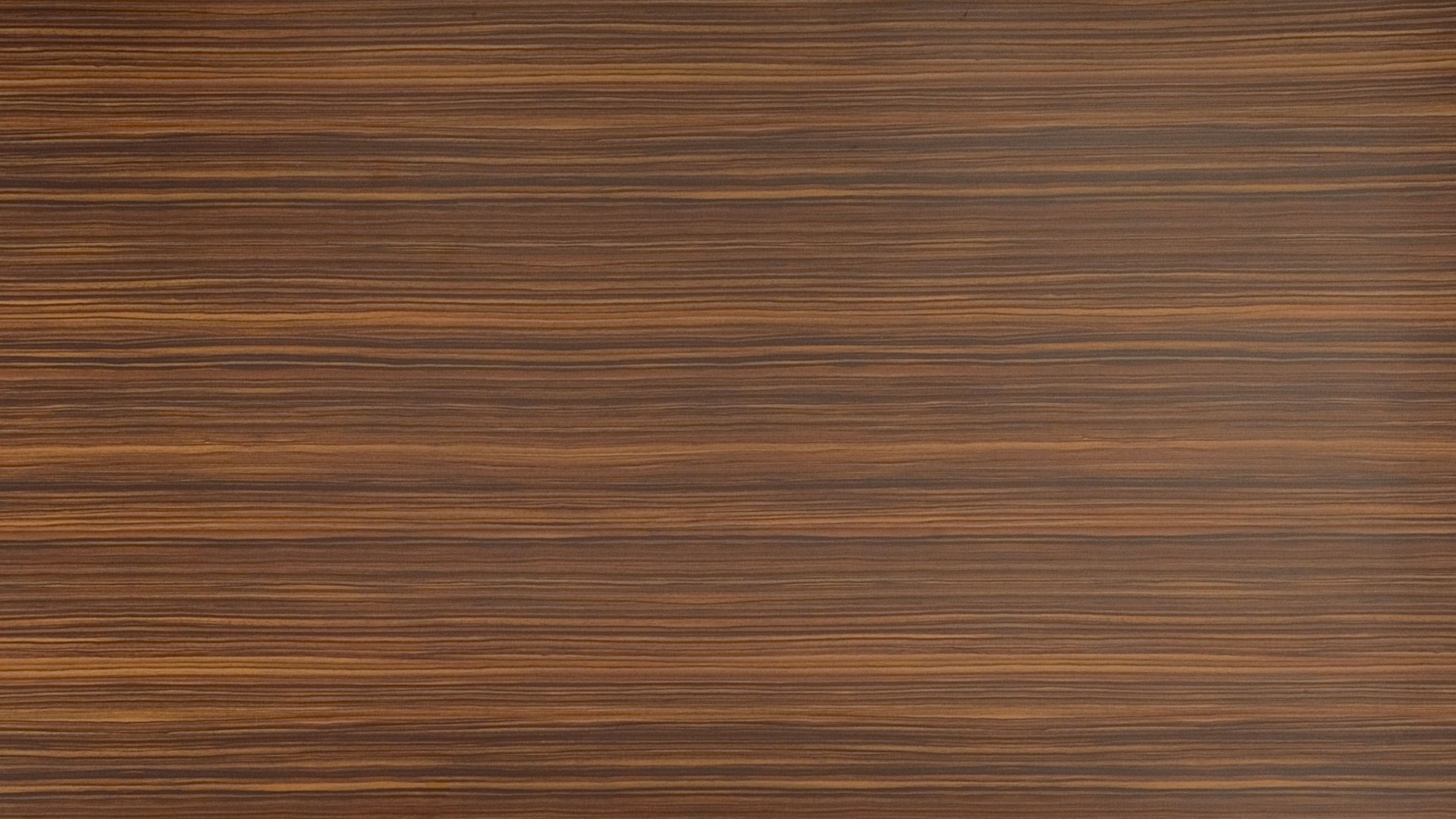 硬木, 木染色, 地板, 木, 胶合板 壁纸 2560x1440 允许
