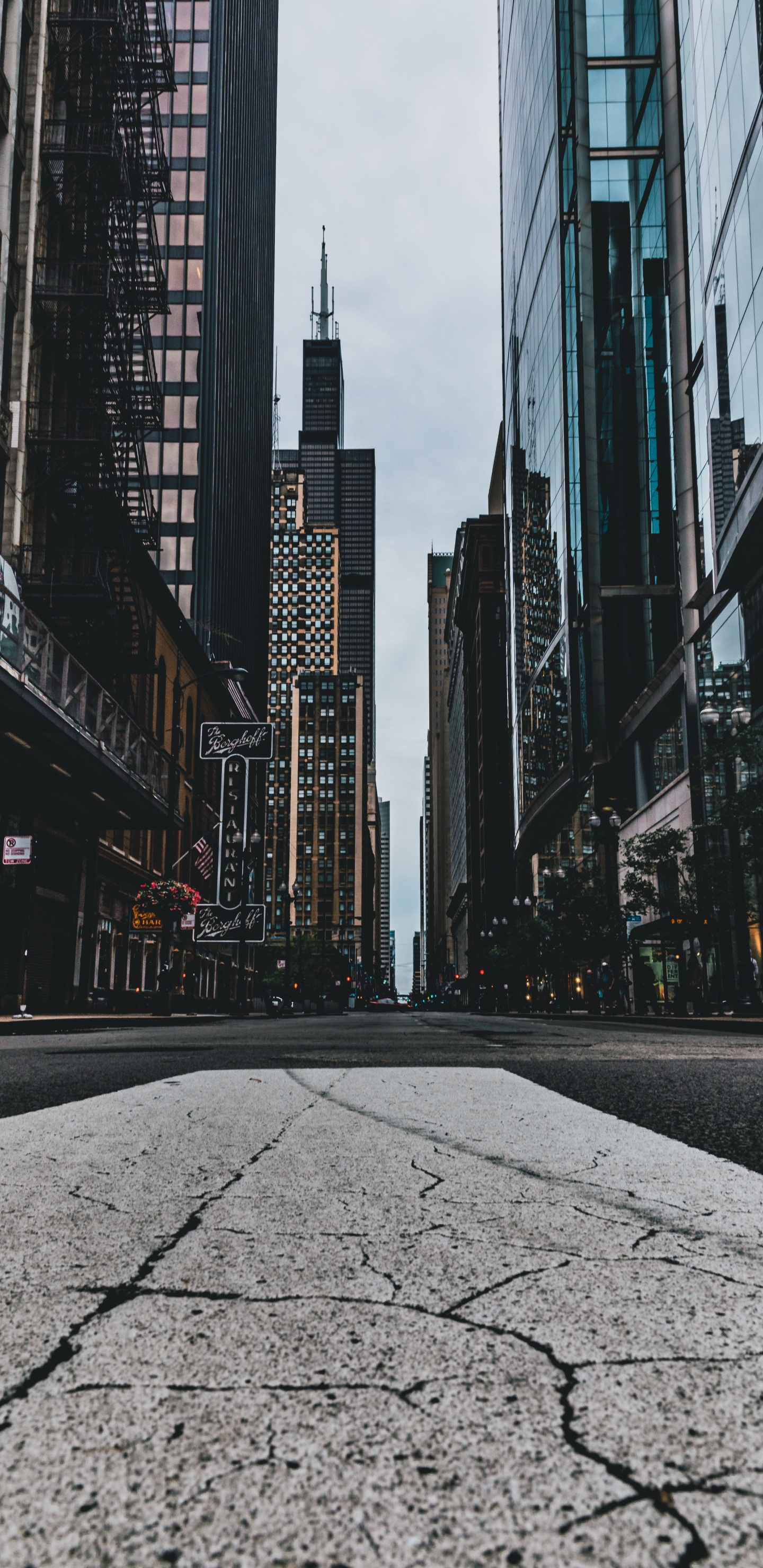 Camino de Hormigón Gris Entre Edificios de Gran Altura Durante el Día. Wallpaper in 1440x2960 Resolution